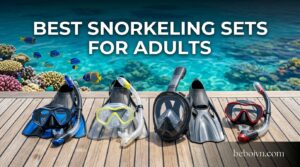 Best Snorkeling Sets for Adults