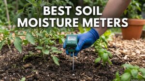 Best Soil Moisture Meters