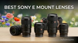 Best Sony E Mount Lenses