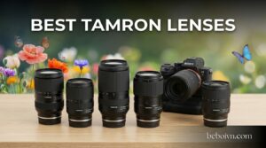 Best Tamron Lenses