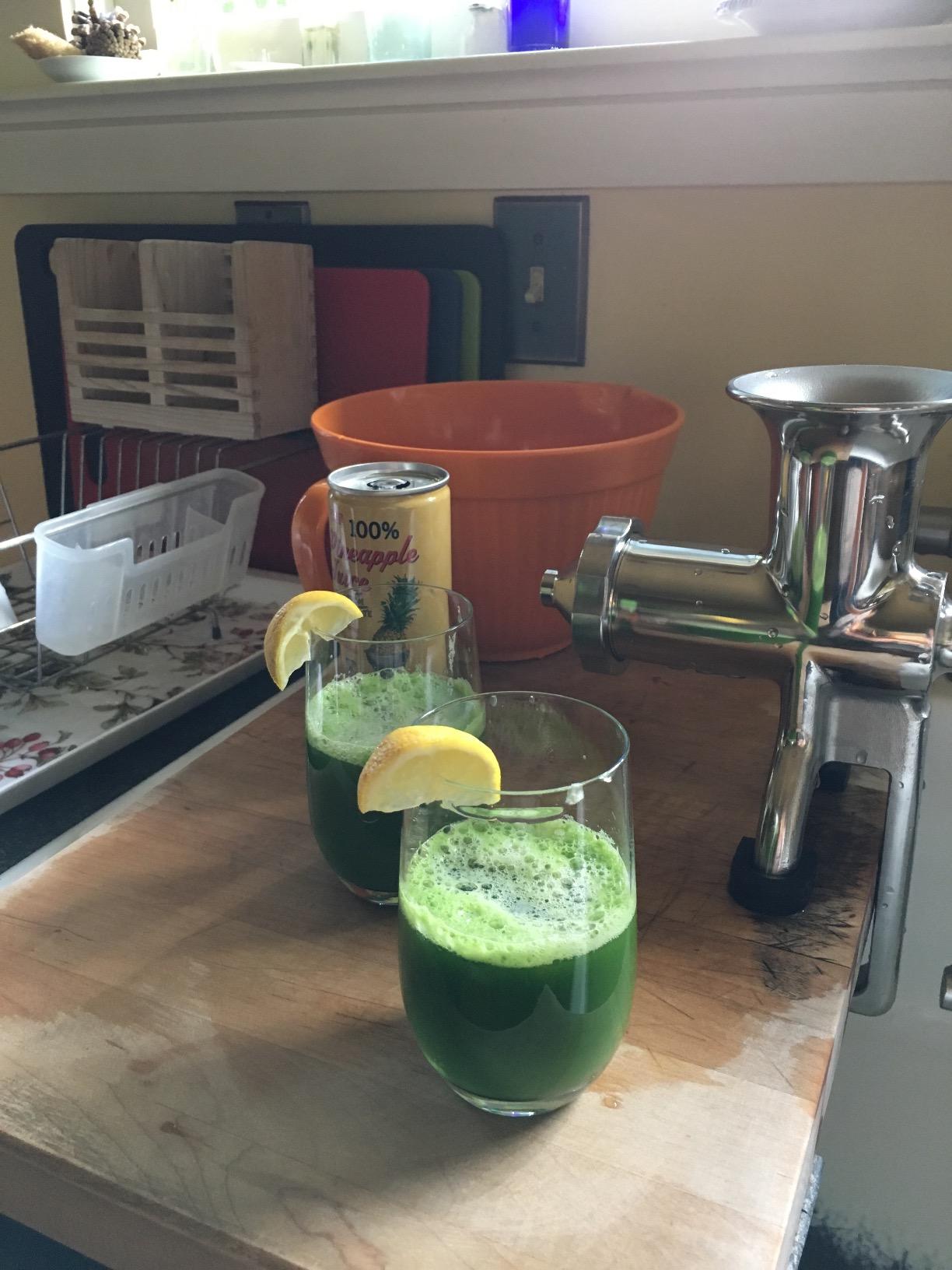 Handy Pantry HJ Hurricane Stainless Steel Manual Wheatgrass Juicer customer photo 2