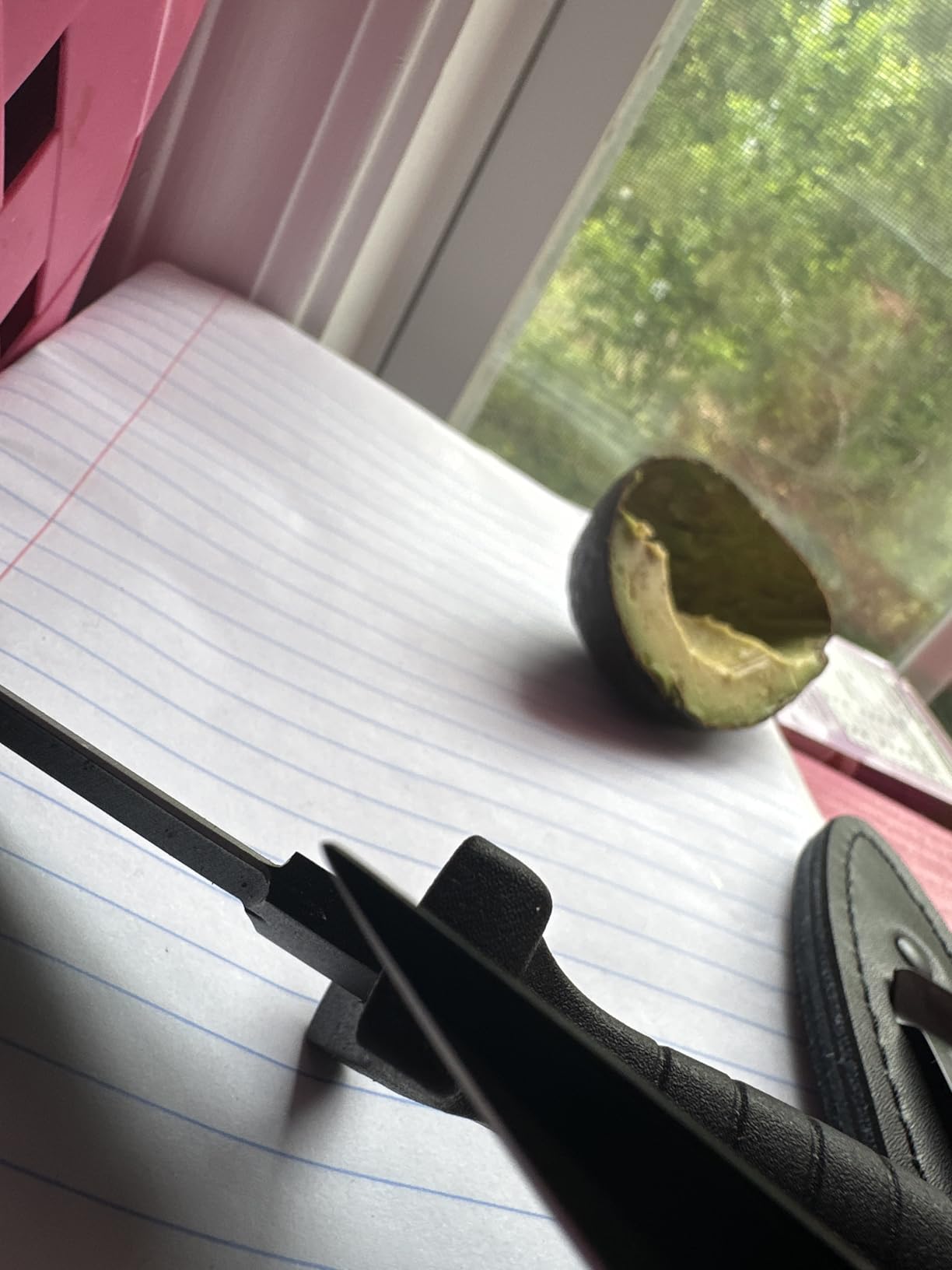 Smith & Wesson 9