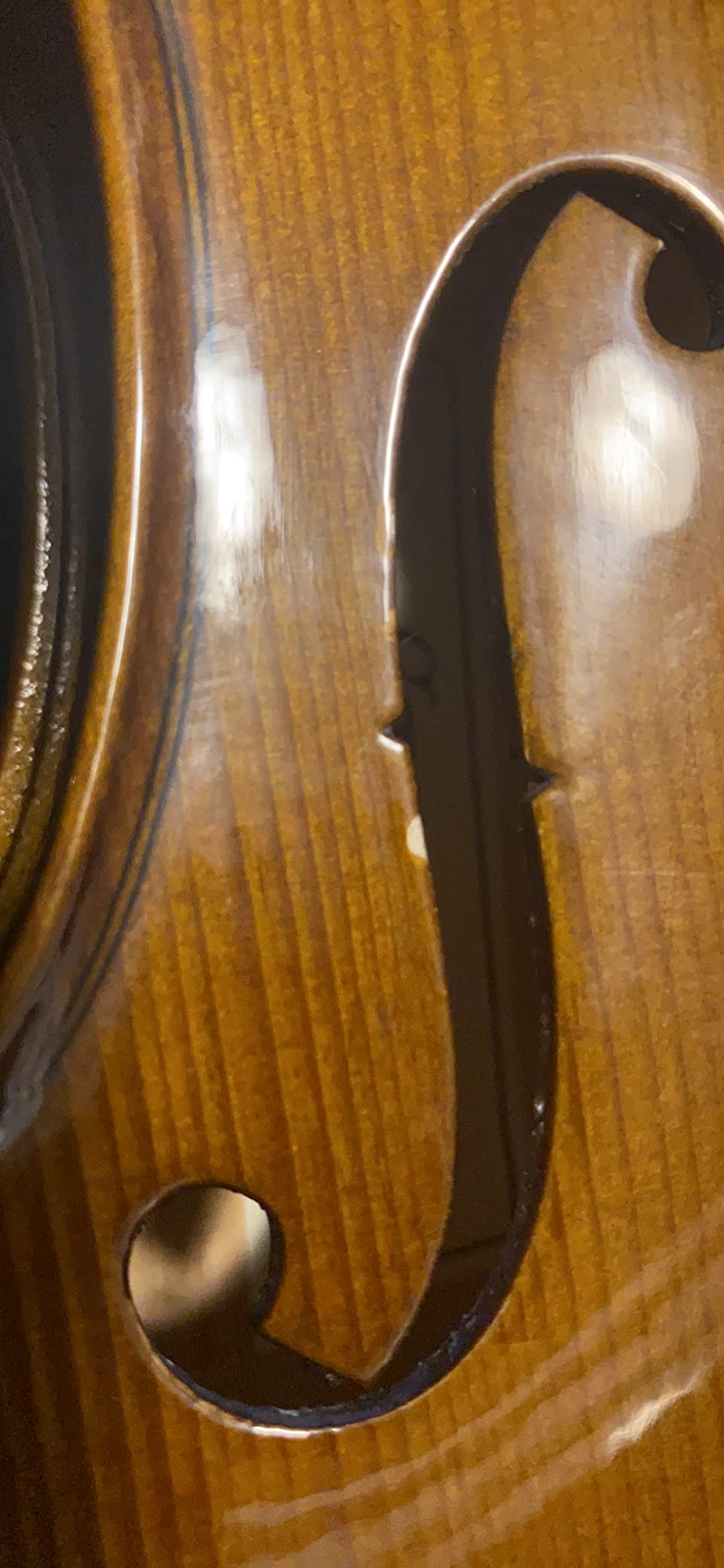 Cremona SV-175 4/4 Premier Student Violin Outfit - Solid Spruce Top, Maple Back, Ebony Fittings, Prelude Strings, Case & Bow for Beginner & Advancing Students customer photo 2