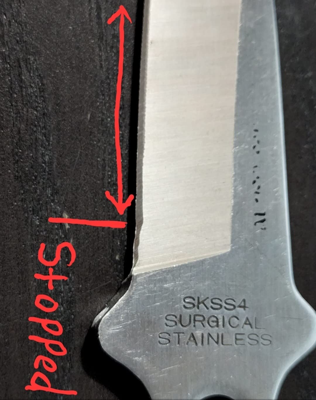 Presto 08810 Professional Electric Knife Sharpener customer photo 2