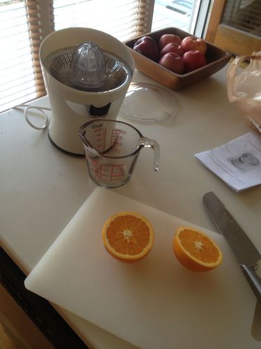 Tribest CitriStar CS-1000 Electric Citrus Juicer with Stainless Steel Strainer and Spout (White) customer photo 2