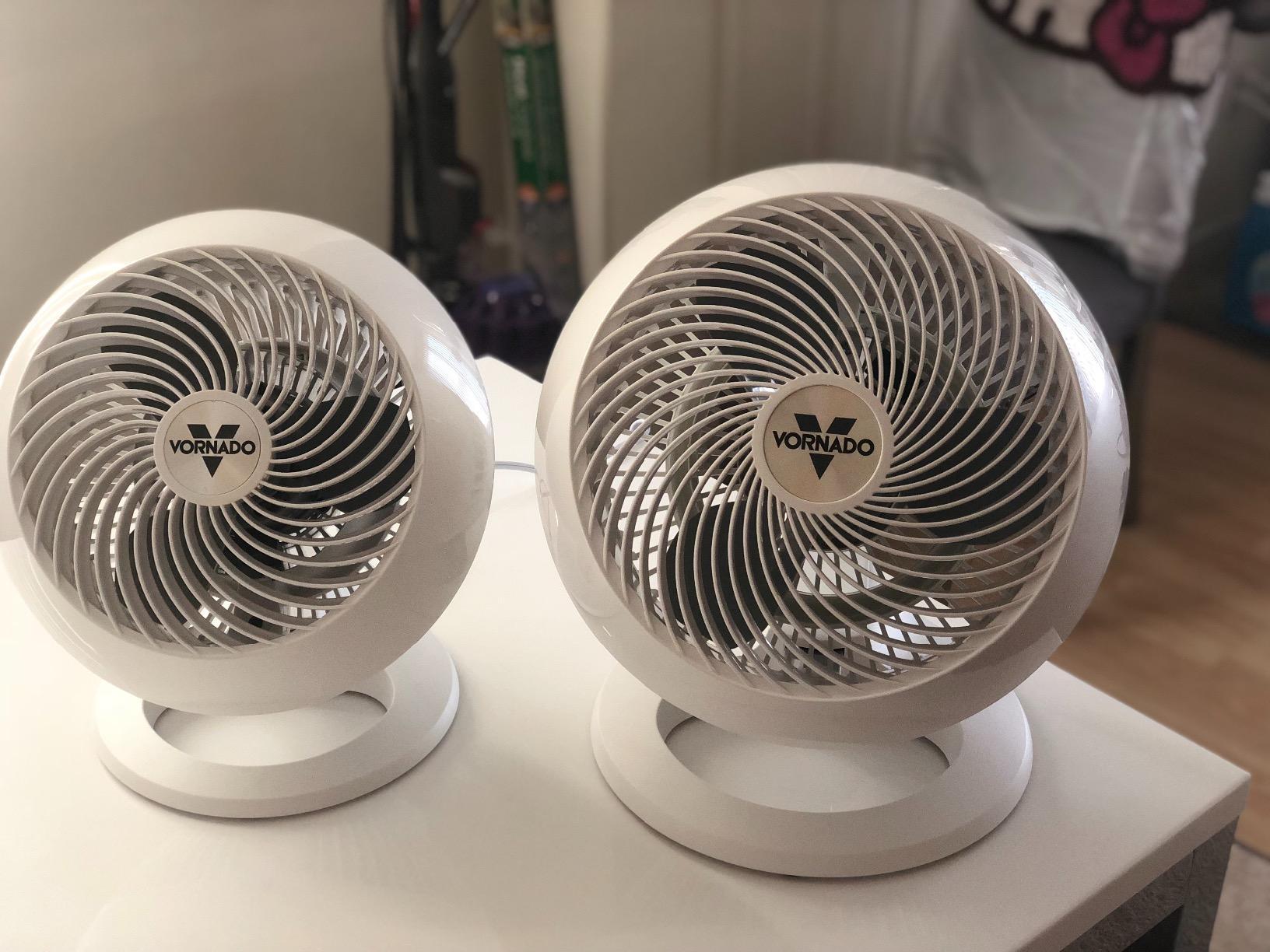 Vornado 660 Large Air Circulator Fan, 4 Speed, Adjustable Tilt, Black | Whole Room Air Circulator, Chrome Glide Bar, Quiet Cooling for Bedroom, Office, Dorm Room customer photo 1