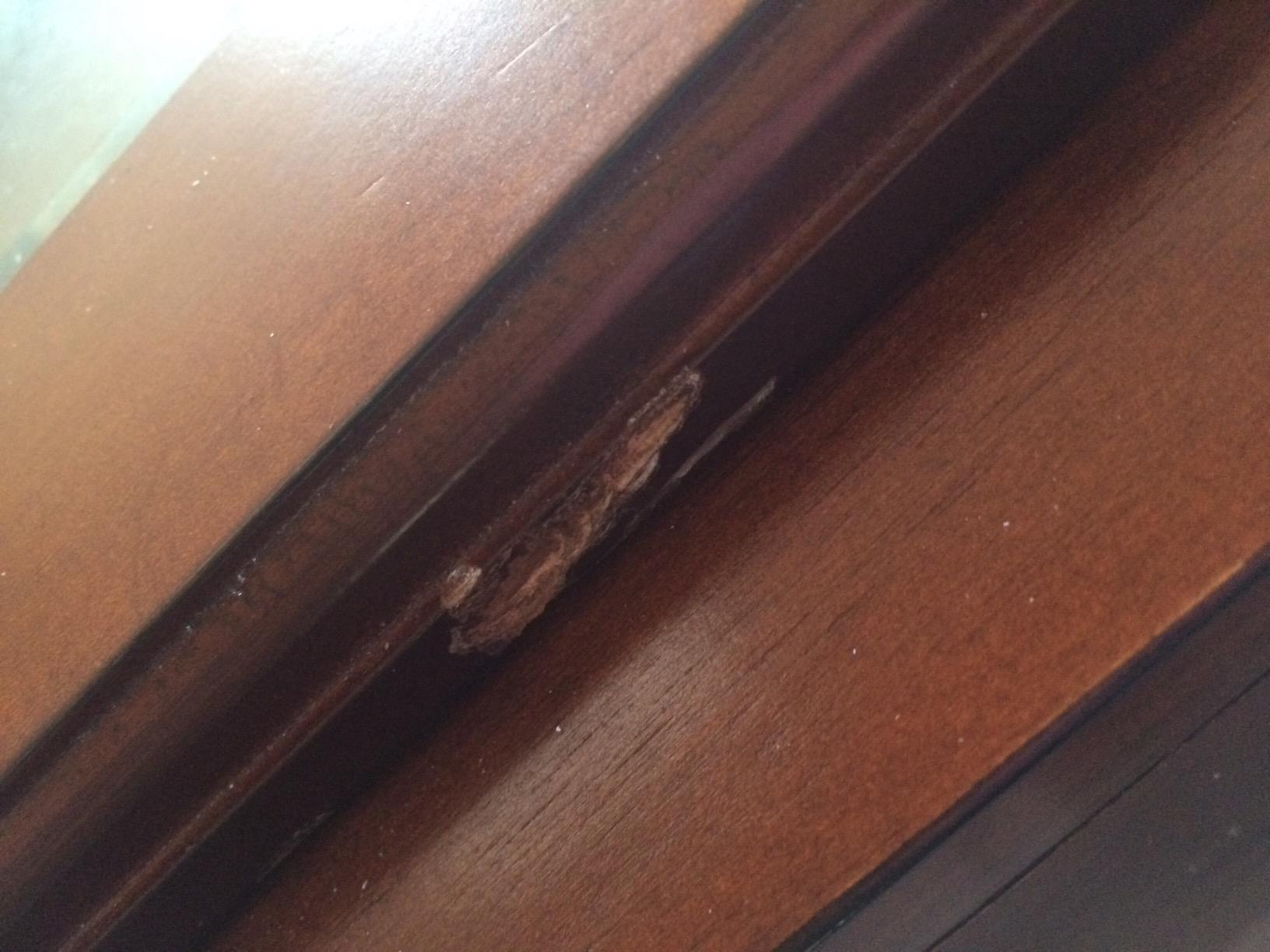 American Furniture Classics Model 724-10 10 Gun Cabinet customer photo 1