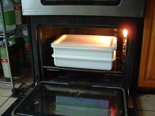 DoughMate Pizza Dough Proofing Box & Tray Kit | 2 Stackable Pizza Dough Trays, 1 Lid & A Dough Scraper - NSF Certified, Made in USA customer photo 1