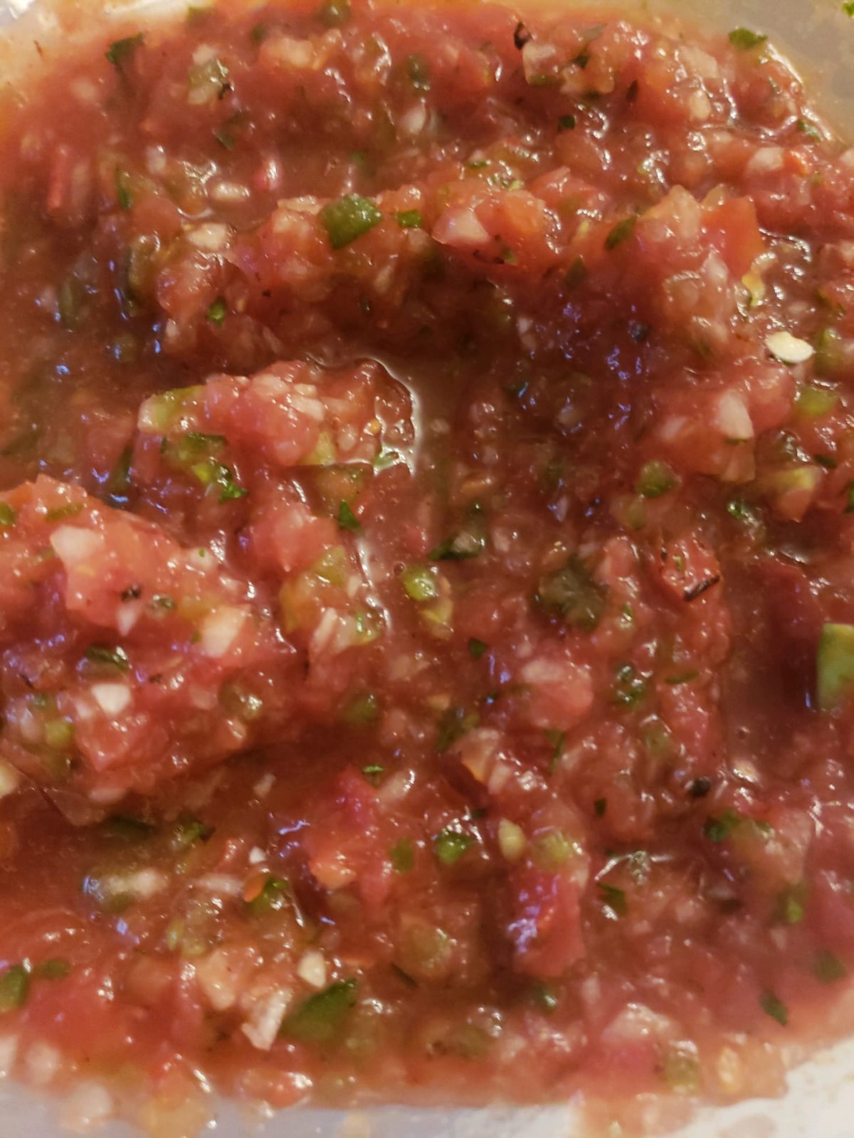 Salsa Maker, Food Chopper, Mixer and Blender - Salsa Master Manual Food Processor customer photo 1