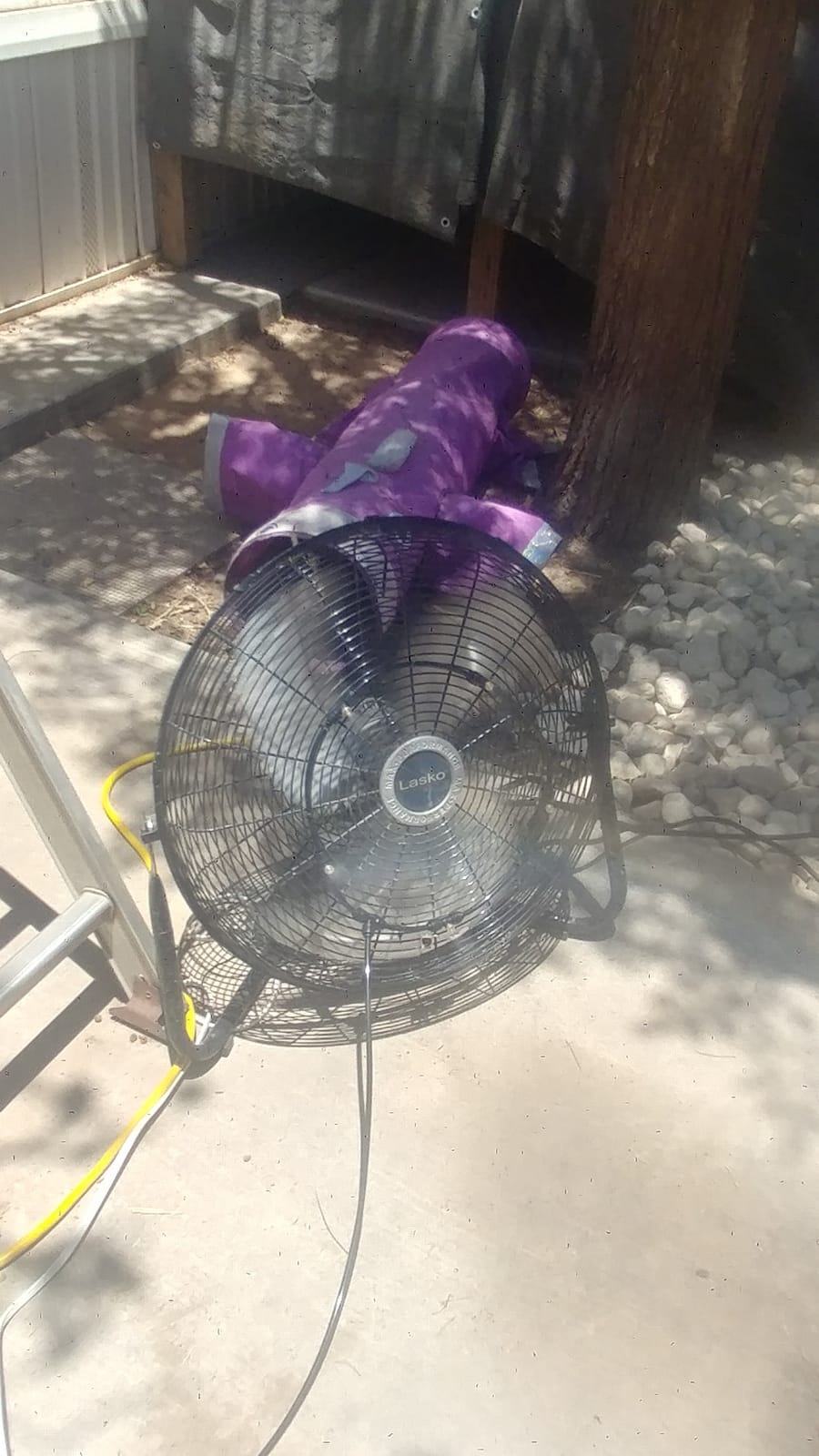 Lasko High Velocity Wall Mount and Floor Fan - 20
