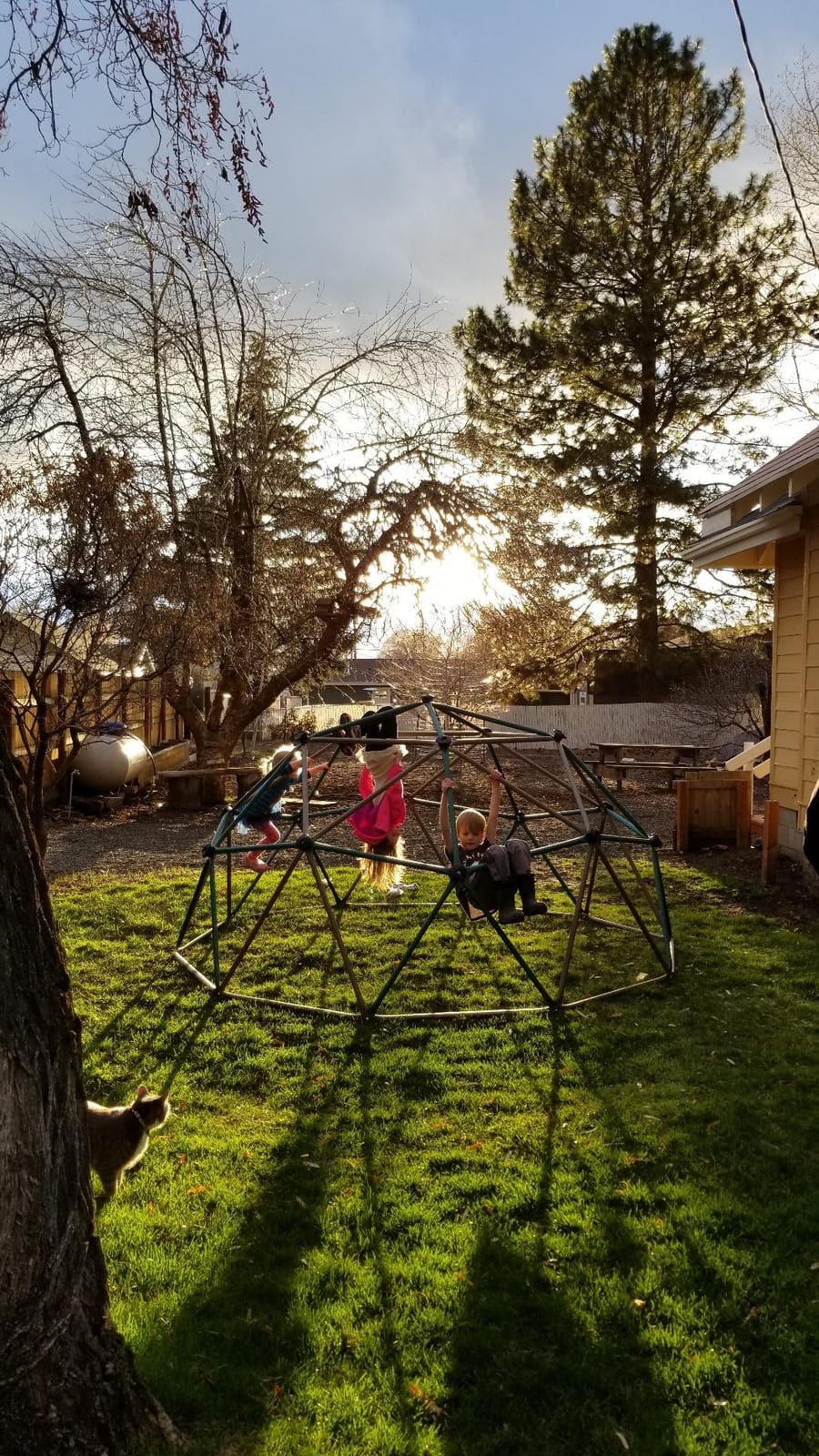 Lifetime Geometric Dome Climber Play Center - Climbing Dome Jungle Gym customer photo 2