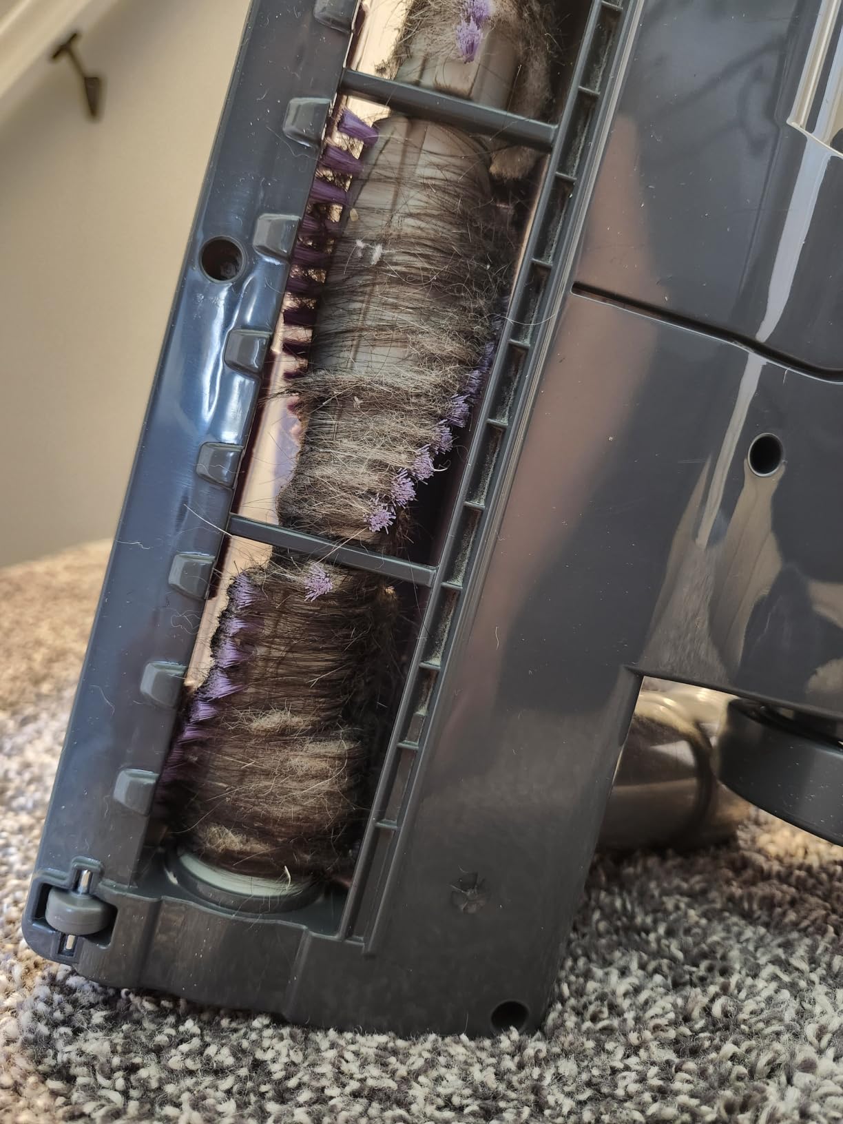 Shark Upright Vacuum Cleaner | Navigator Lift-Away | Pet Hair, Carpet & Hard Floor Cleaning | Upholstery & Crevice Tools | HEPA Filter | Swivel Steering | Large Dust Cup Capacity | Lavender | NV352 customer photo 1