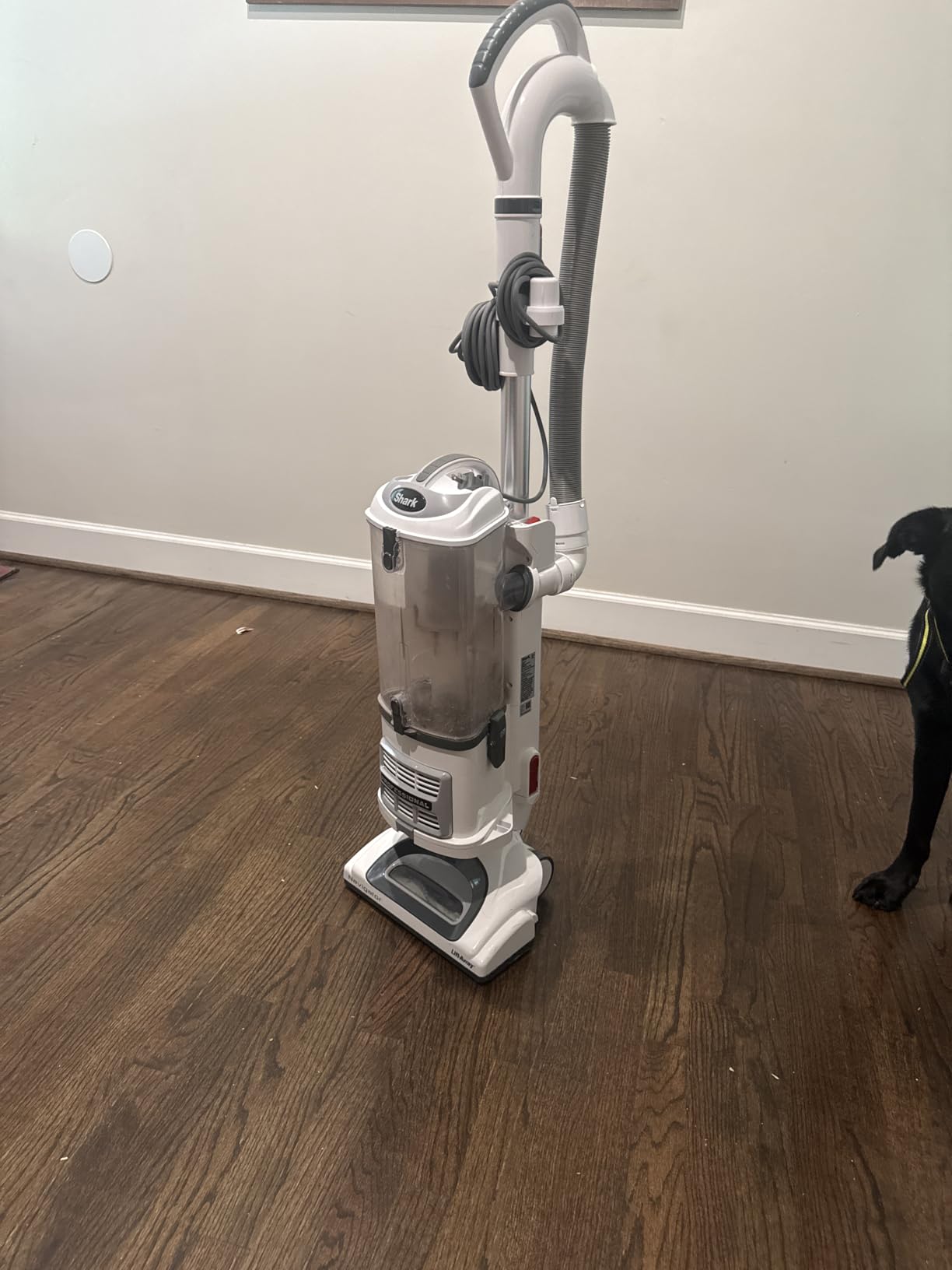 Shark Upright Vacuum Cleaner | Navigator Lift-Away | Pet Hair, Carpet & Hard Floor Cleaning | Dusting Brush & Crevice Tool | HEPA Filter | Swivel Steering | White/Silver | NV356E customer photo 2