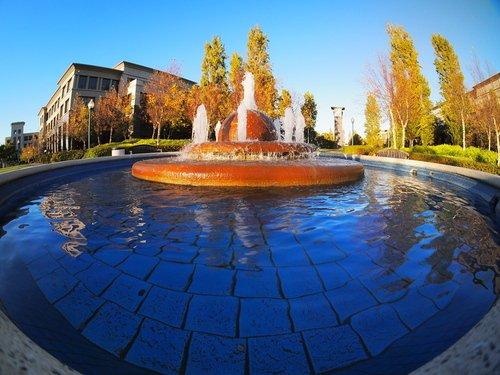 Rokinon FE75MFT-B 7.5mm F3.5 UMC Fisheye Lens for Micro Four Thirds (Olympus PEN and Panasonic), Black customer photo 1
