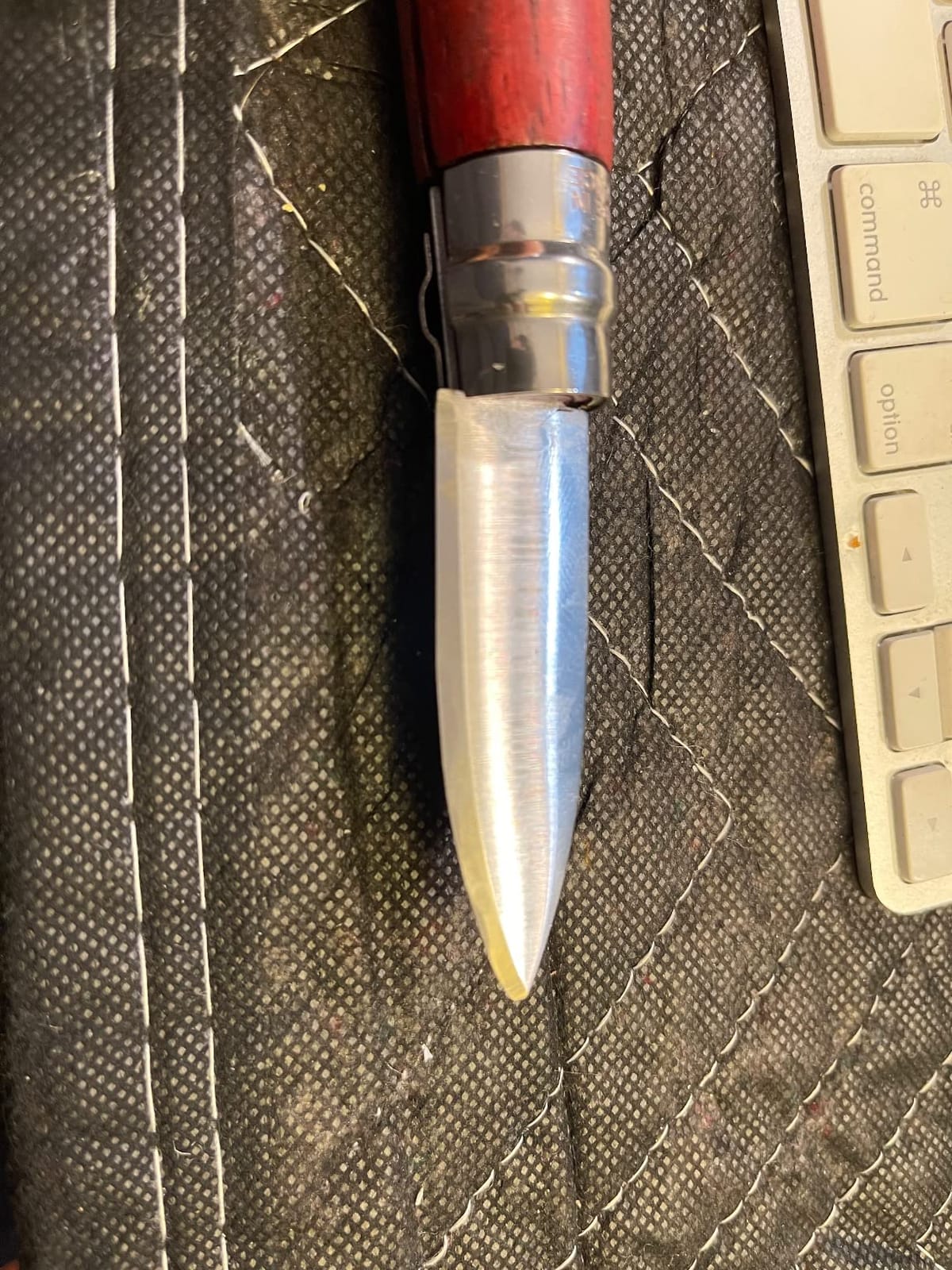 Opinel No.09 Stainless Steel Folding Oyster & Shellfish Knife with Padouk Handle customer photo 1