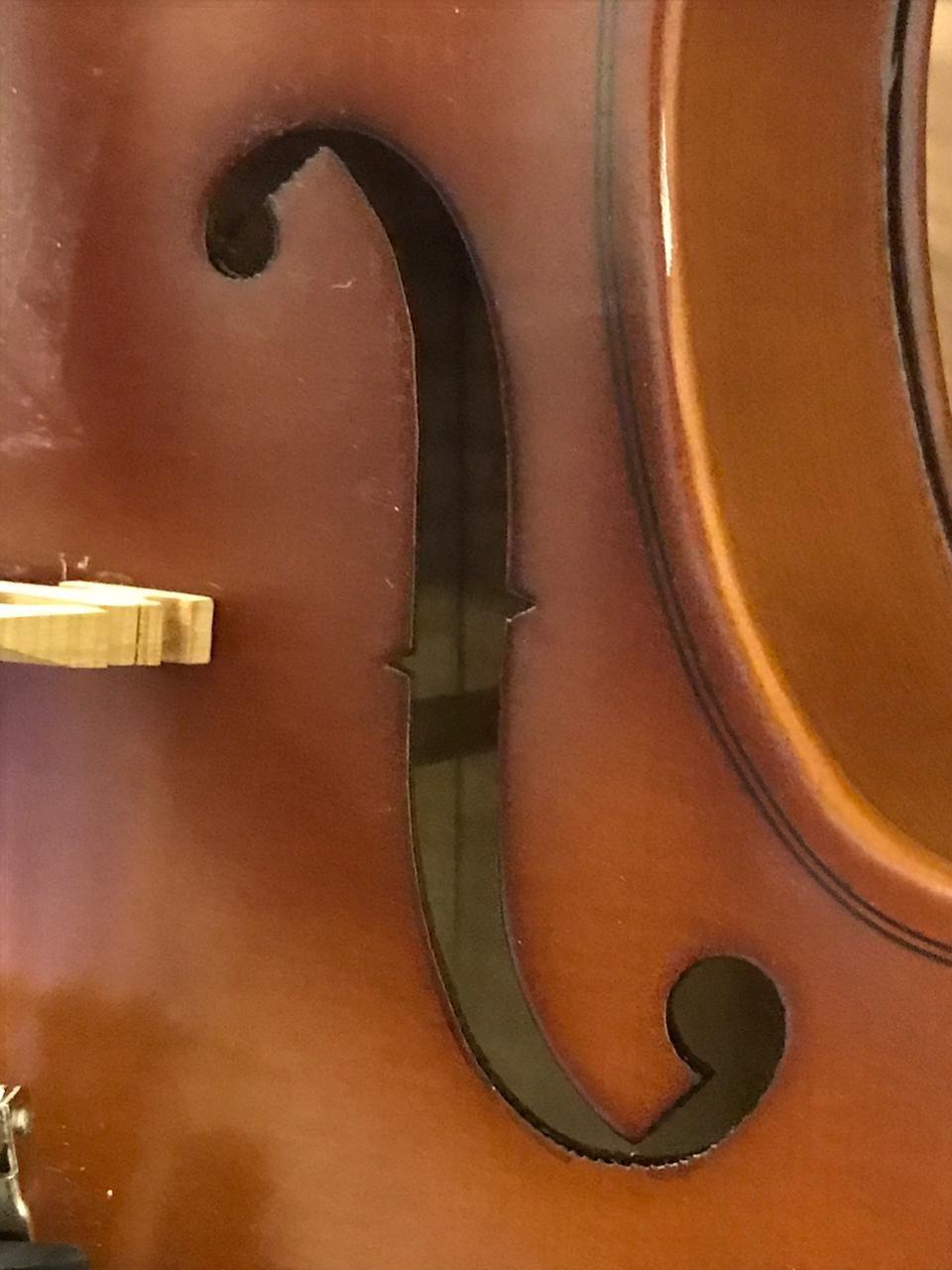 Cecilio Solid Wood Viola 16 Inch Viola Full Size, Professional Handcrafted Acoustic Viola with Ebony Fittings, D'Addario Prelude Strings, Antique Satin Finish customer photo 2