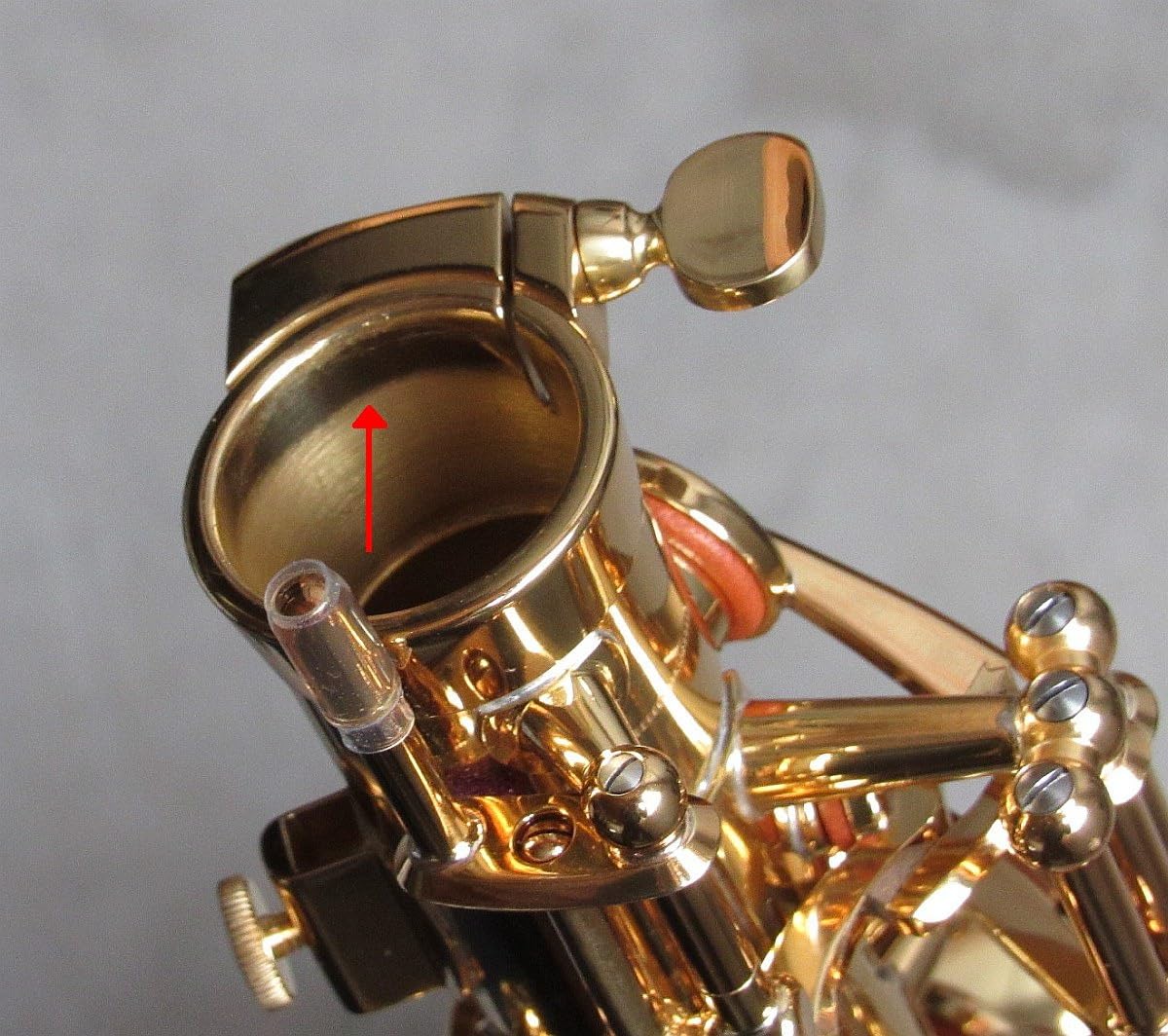 Yamaha YAS-62III Professional Alto Saxophone - Gold Lacquer customer photo 1