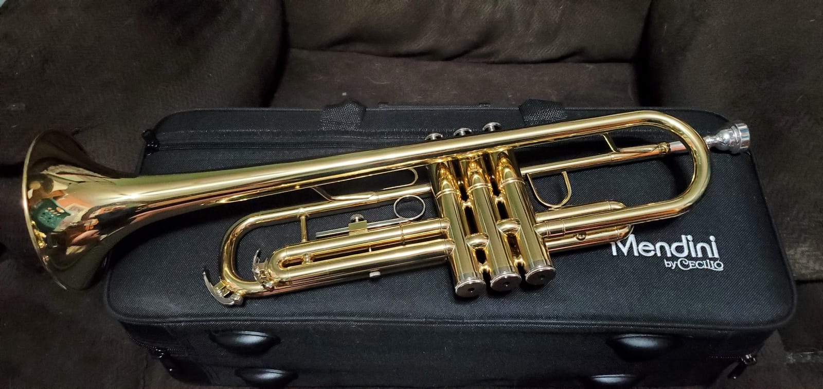 Mendini By Cecilio Bb Standard Trumpet Set for Beginners - Brass Trumpet Instrument with Hard Case, 7C Mouthpiece, Valve Oil, Cleaning Cloth, Maintenance kit and Gloves (Gold) customer photo 2