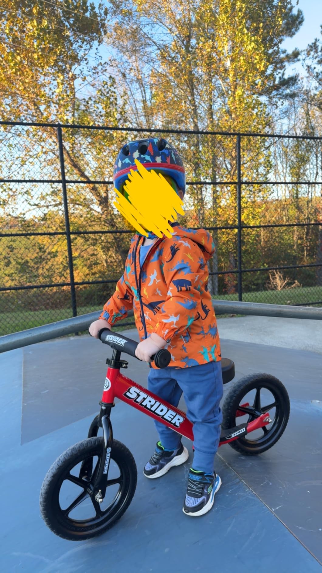 Strider 12 Sport Bike, Blue - No Pedal Balance Bicycle for Kids 1 to 4 Years - Includes Safety Pad, Padded Seat,Mini Grips, Flat-Free Tires -Easy Assembly, Tool-Free Adjustments customer photo 1