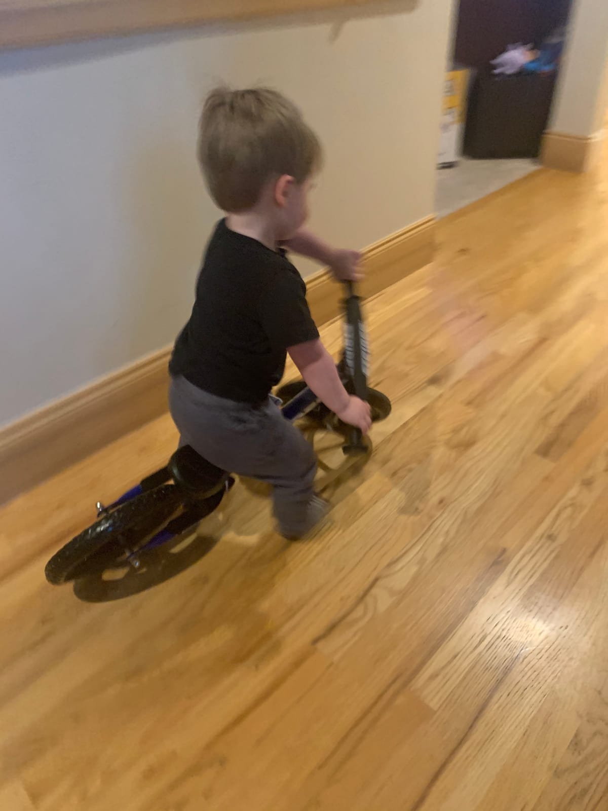 Strider 12 Sport Bike, Blue - No Pedal Balance Bicycle for Kids 1 to 4 Years - Includes Safety Pad, Padded Seat,Mini Grips, Flat-Free Tires -Easy Assembly, Tool-Free Adjustments customer photo 2