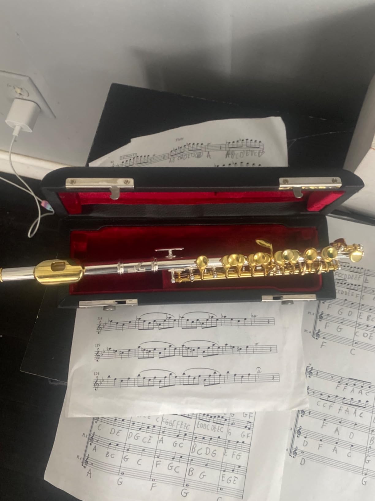 Sky(Paititi) Guarantee Quality Sound Band Approved SKY Silver Piccolo with Gold Keys *Special* with Case, Joint Grease, Cleaning Cloth, Rod and Screw Driver customer photo 1
