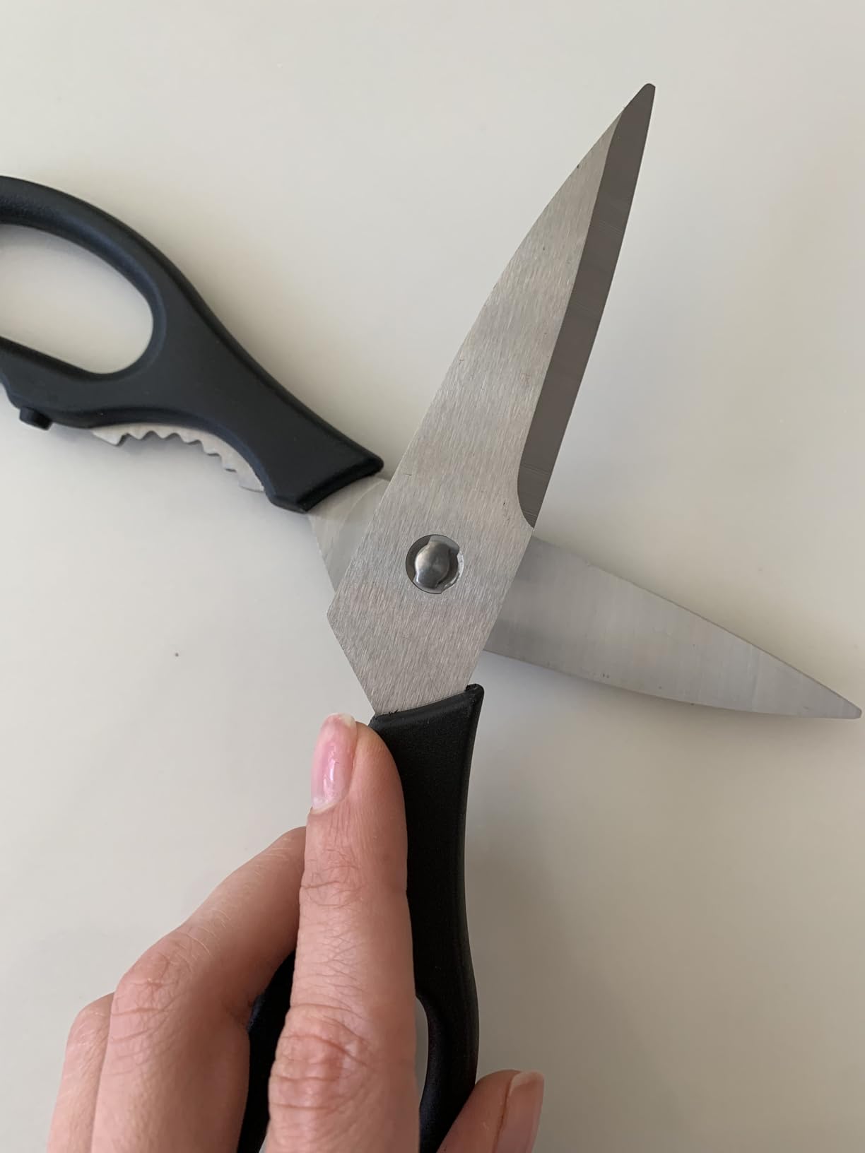 WÜSTHOF Come Apart Kitchen Shears customer photo 1