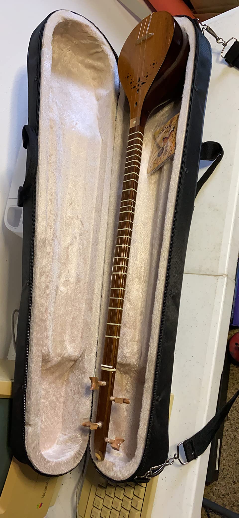 Persian Setar Sehtar with Hard Case customer photo 1
