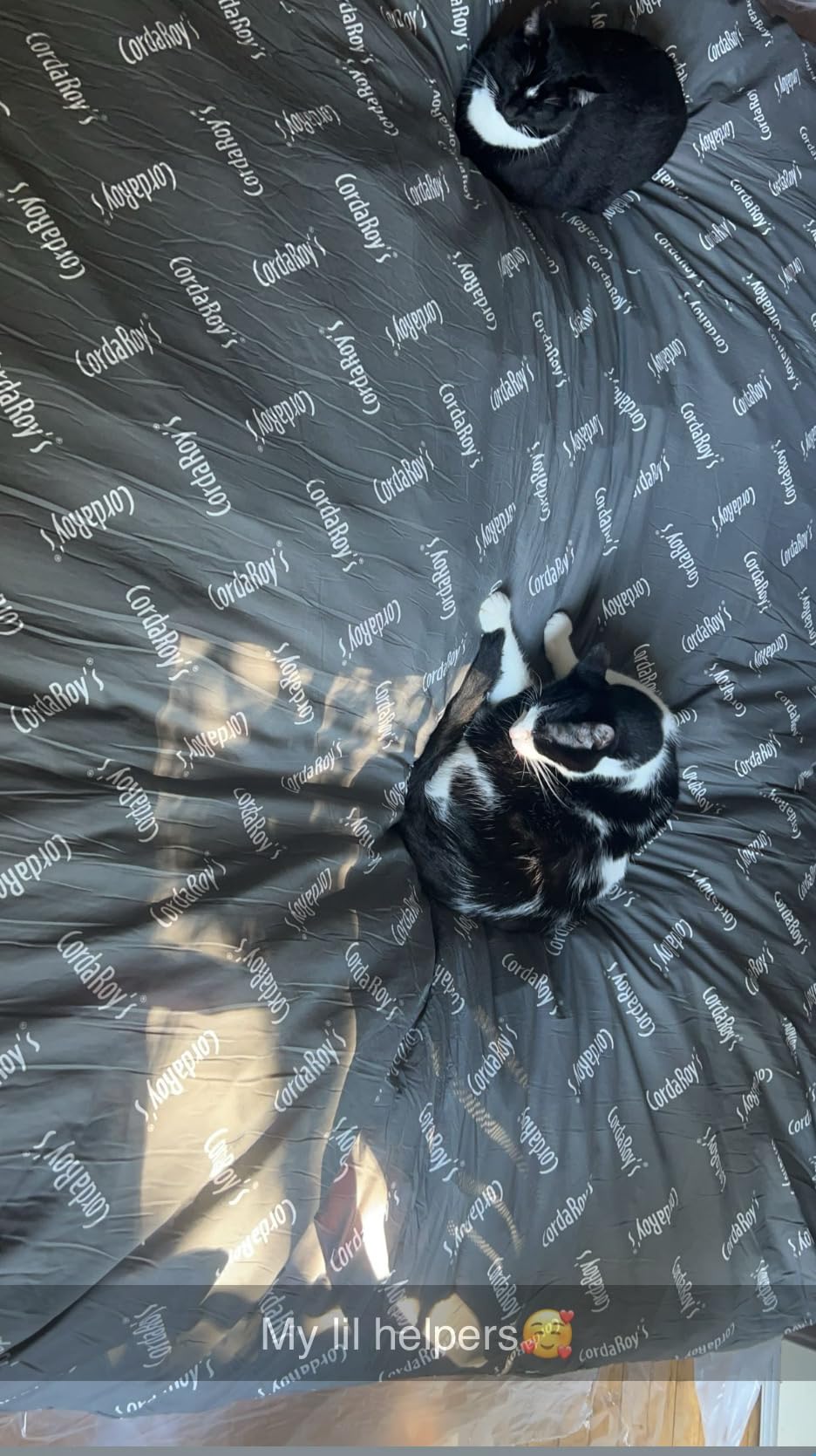 CordaRoy's Chenille Bean Bag Chair, Convertible Chair Folds from Bean Bag to Lounger, As Seen on Shark Tank, Charcoal - Full Size customer photo 2