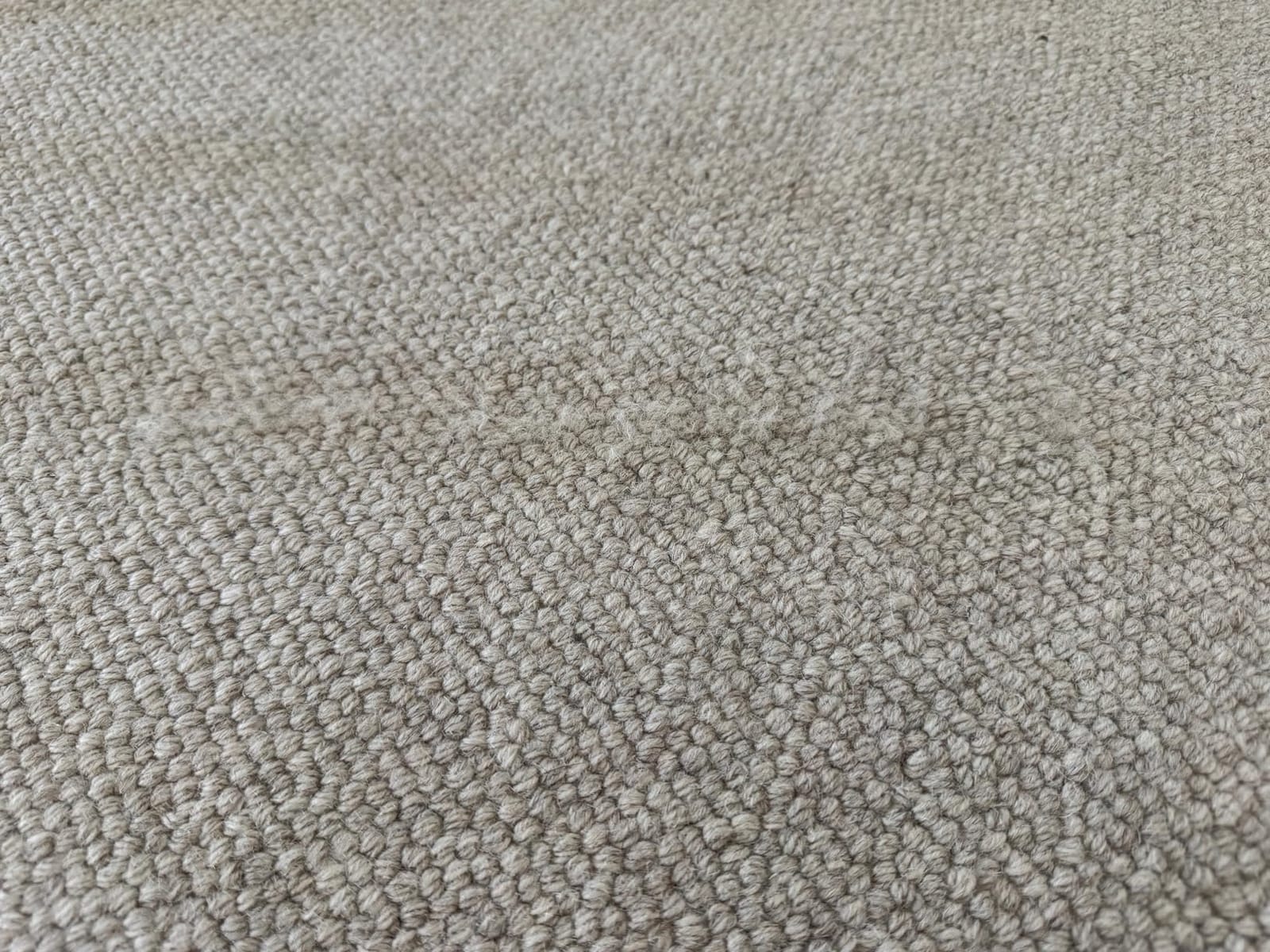 Soniclean Soft Carpet Upright Vacuum Cleaner customer photo 2