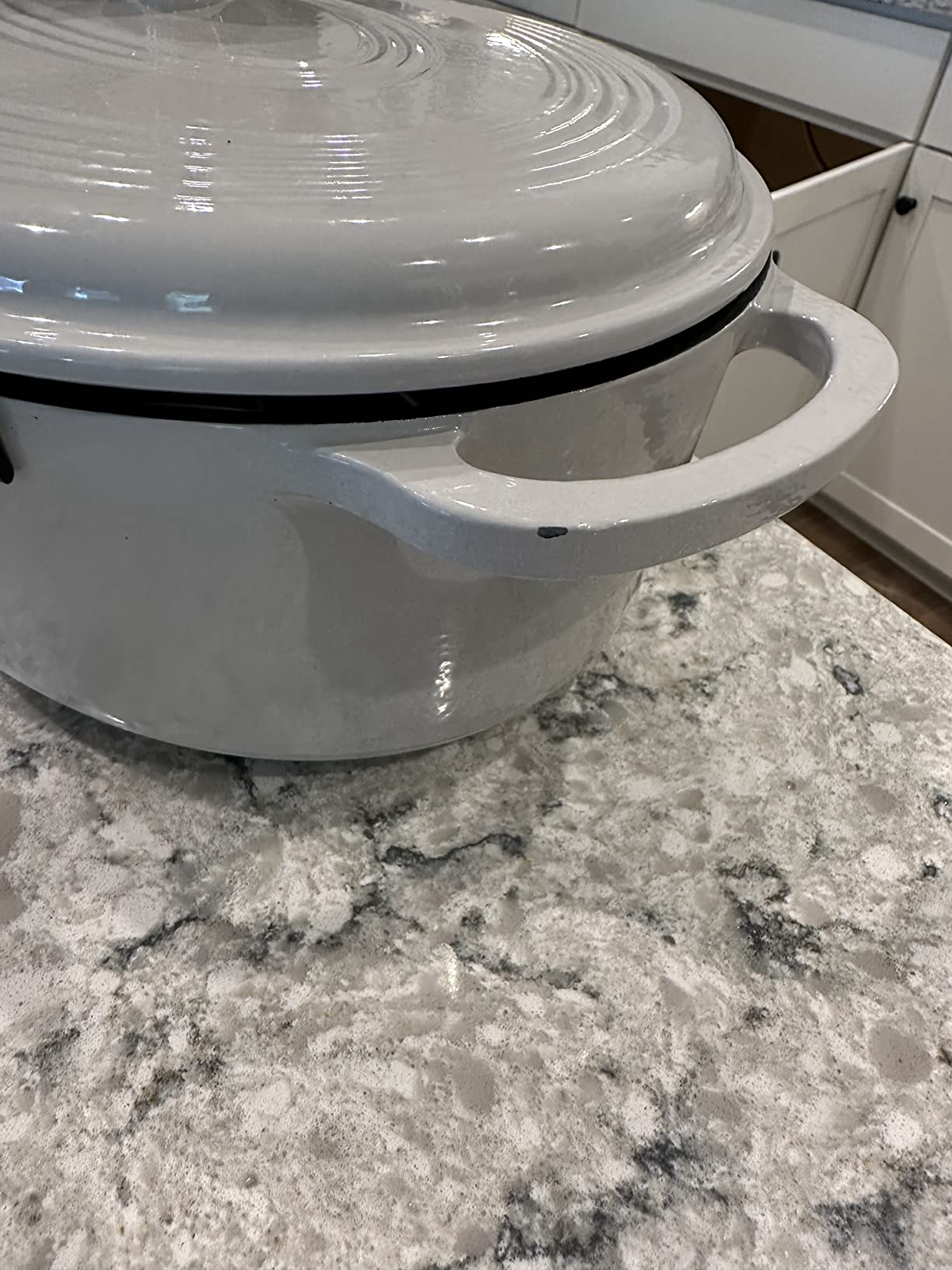 Lodge Enameled Cast Iron Oval Dutch Oven with Lid, 7 Quart, Oyster White | Family Size Cooking Pot with Dual Handles for Sourdough Bread Baking & Everyday Cooking customer photo 1