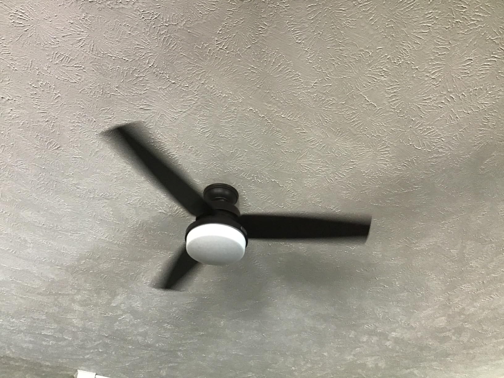 Hunter Sentinel, Indoor, Ceiling Fan, 3 Blades, 52 inch, Brushed Slate | with LED Light and Remote Control, Standard Mount, For Bedroom, Living Room, Kitchen, 59211 customer photo 1