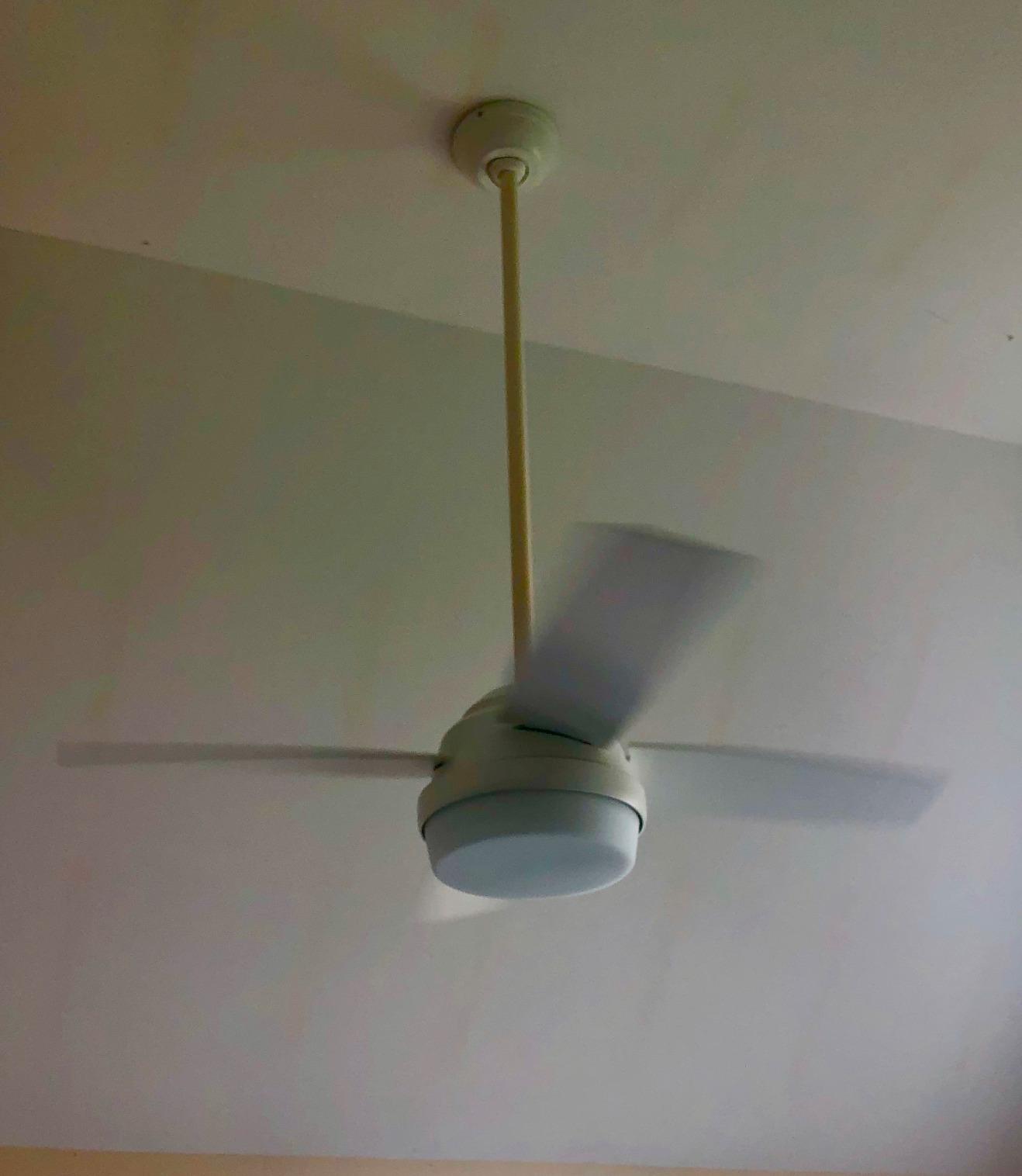 Hunter Dempsey 52 inch Indoor Ceiling Fan with LED Light and Remote - Fresh White customer photo 1