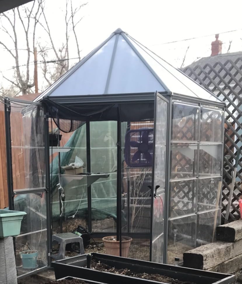 Palram - Canopia Oasis Hex 7' x 8' Polycarbonate Aluminum Greenhouse, Gray | Outdoor Backyard Home Garden Walk-In DIY Kit, Twin-Wall UV Protected, Heavy-Duty Aluminum Frame, Lockable Door, Roof Vent customer photo 1