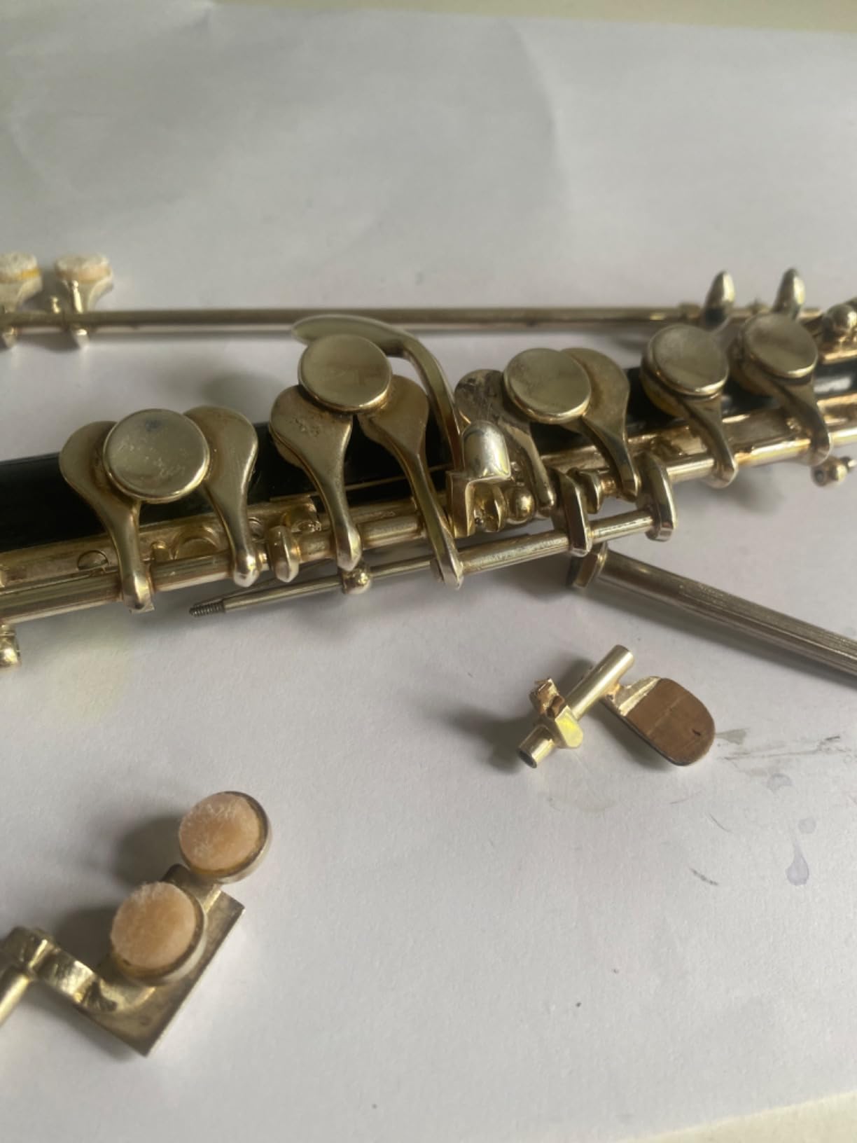 Paititi Professional Centertone Composite Wood Piccolo Flute Silver Plated Head Joint Ebonite Composite Wood Body with Case customer photo 2