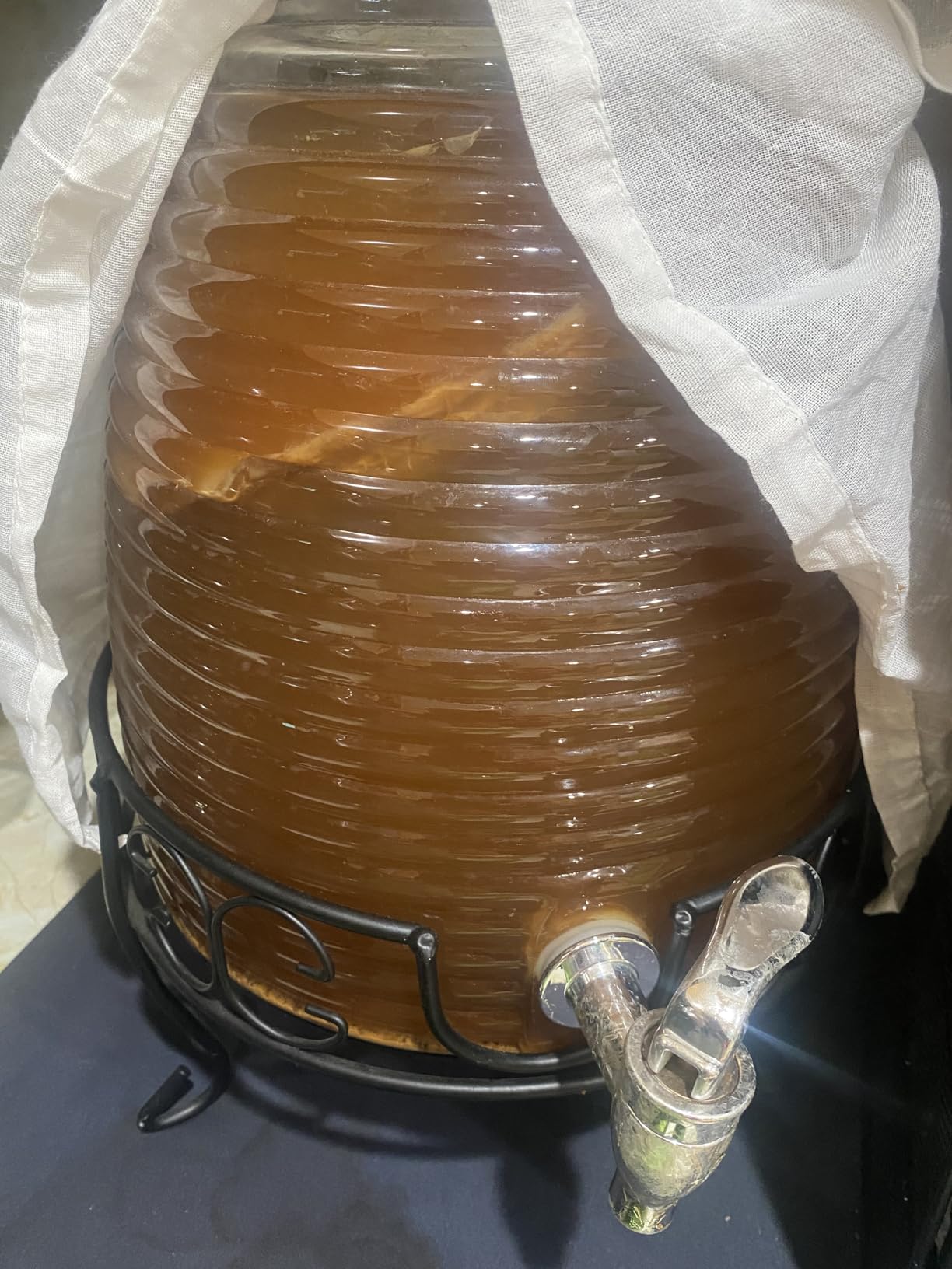 Fermentaholics ORGANIC Kombucha SCOBY With Twelve Ounces of Starter Tea - Live Starter Culture - Makes A One Gallon Batch - 1.5 Cups of Strong Mature Starter Tea - Brew Your Own Kombucha (1 Pack, 1, Count) customer photo 1