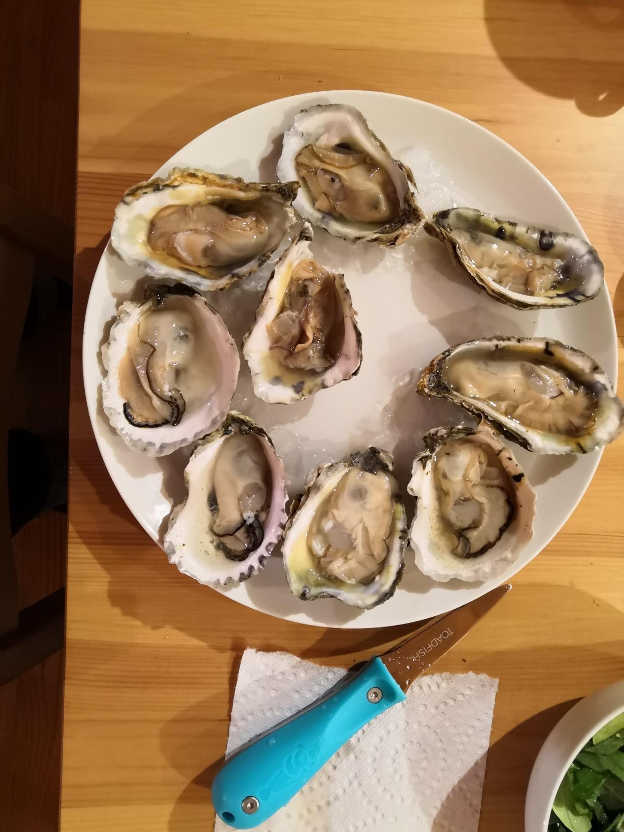 Toadfish Oyster Shucking Knife, Oyster Opener Tool, Oyster Knife customer photo 1