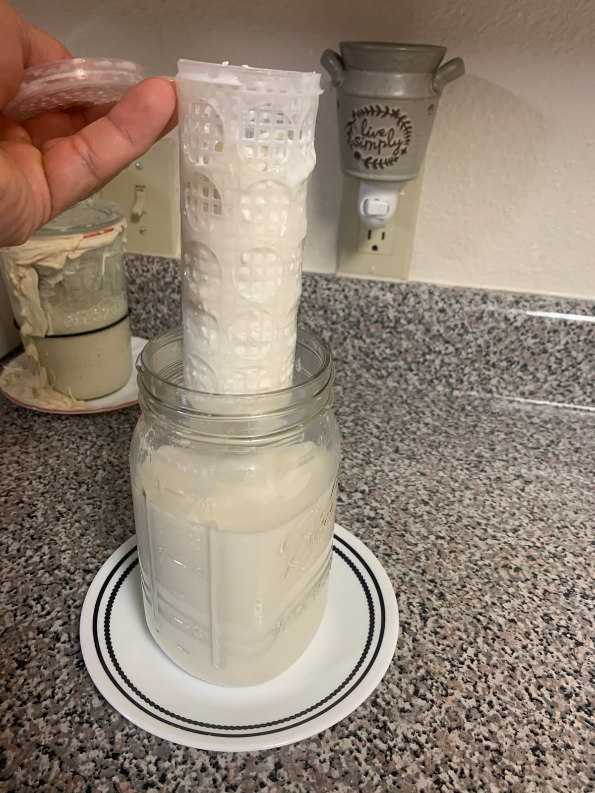 Kefir Fermenter: Container for Milk & Water Kefir Grains Large Size - 210 cc customer photo 1