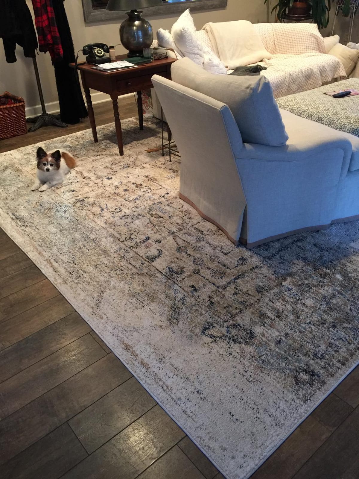Persian-Rugs Luxe Weavers Rug 6495 - Distressed Floral Area Rug customer photo 1