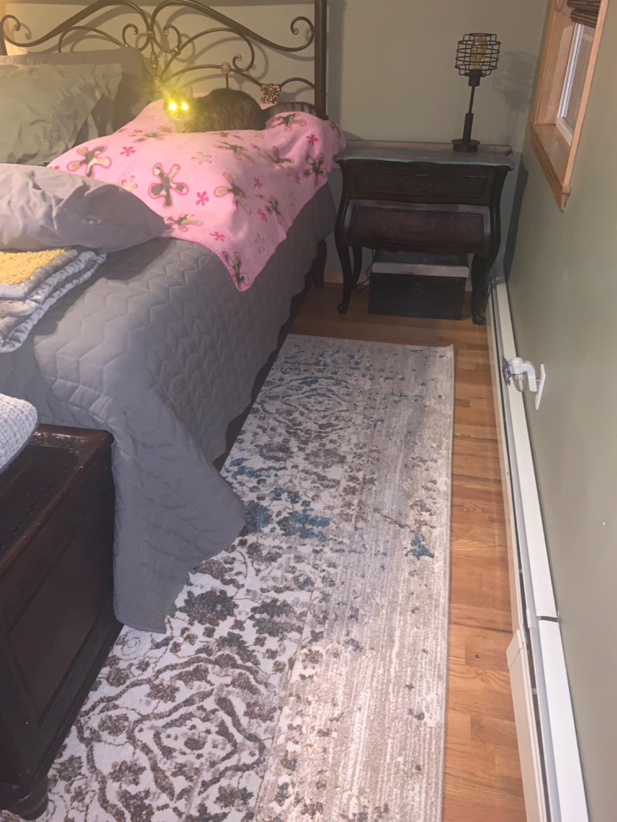 Persian-Rugs Luxe Weavers Rug 6495 - Distressed Floral Area Rug customer photo 2
