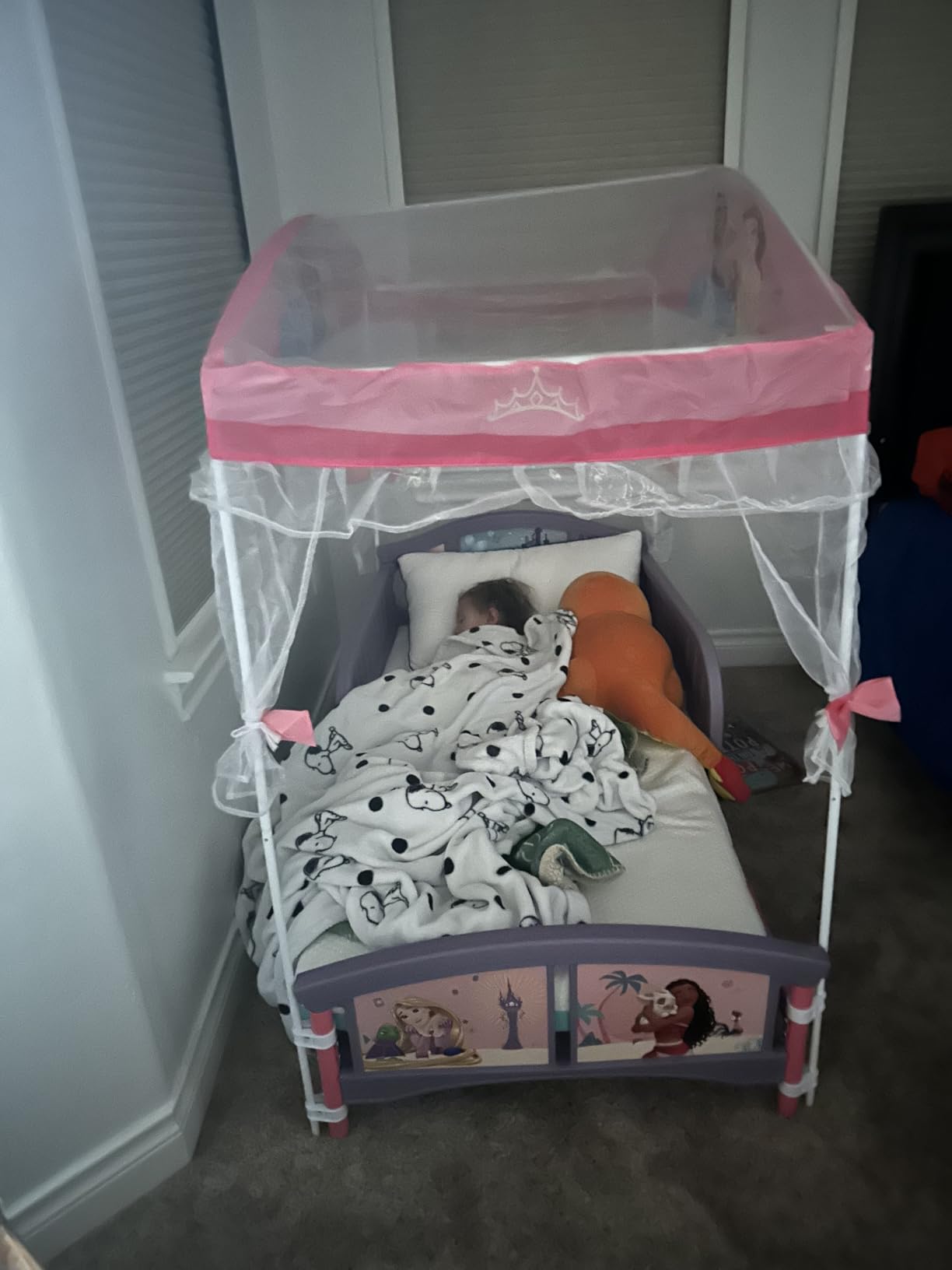 Delta Children Canopy Toddler Bed, Disney Princess customer photo 1
