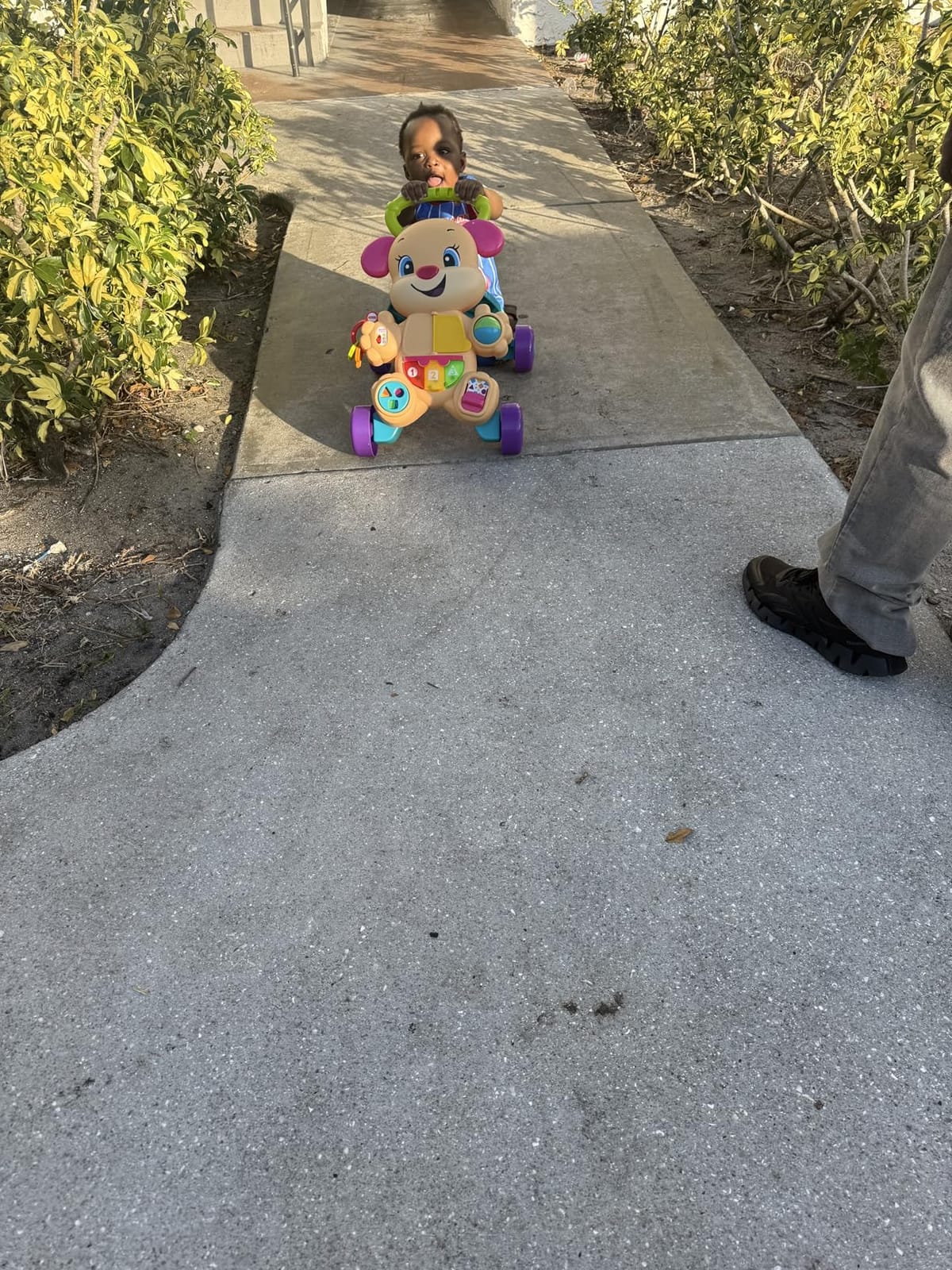 Fisher-Price Laugh & Learn Smart Stages Learn With Sis Walker, Pink customer photo 1