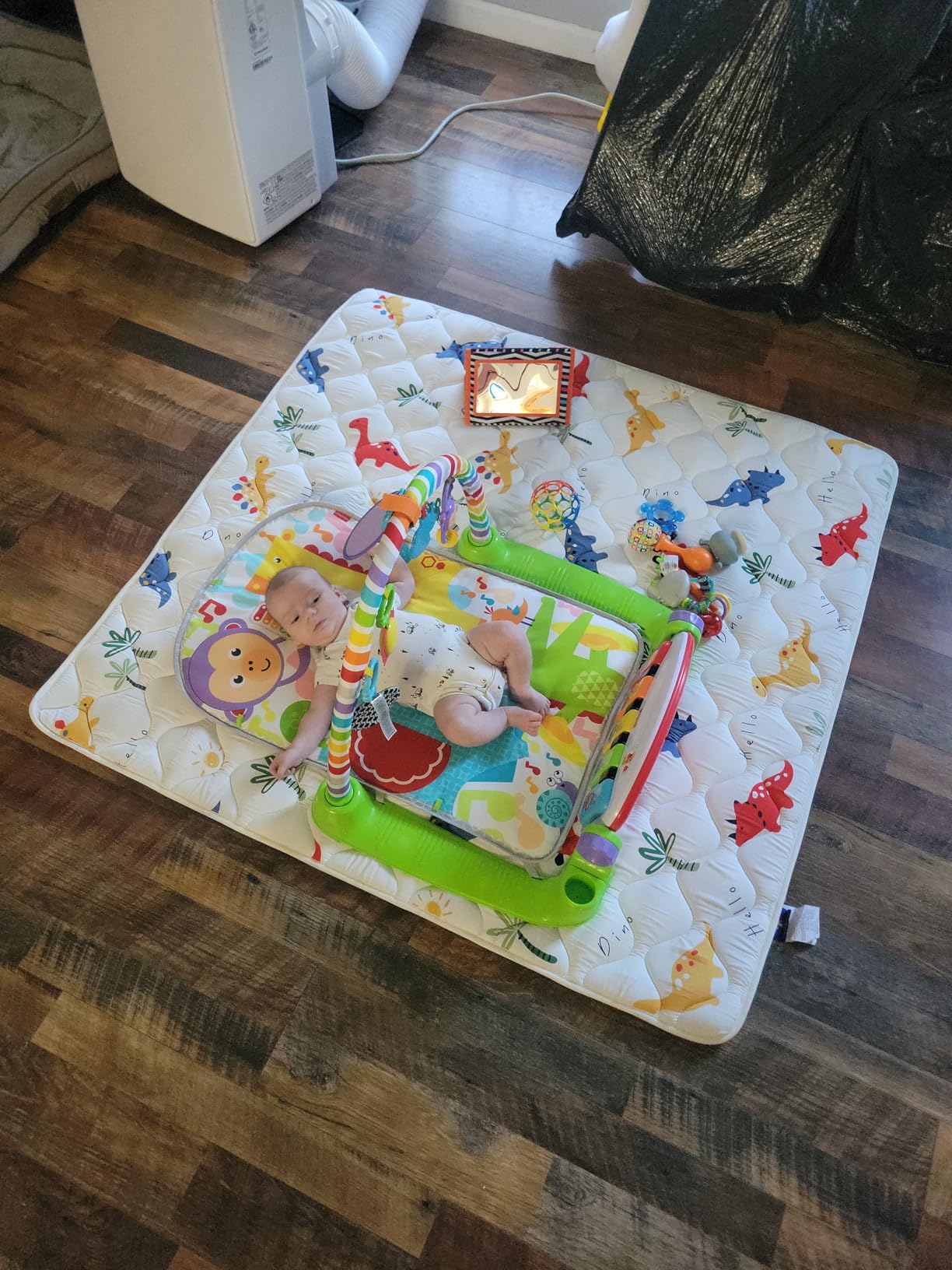 Fisher-Price Deluxe Kick & Play Piano Gym & Maracas, Ages 0+ Months customer photo 1