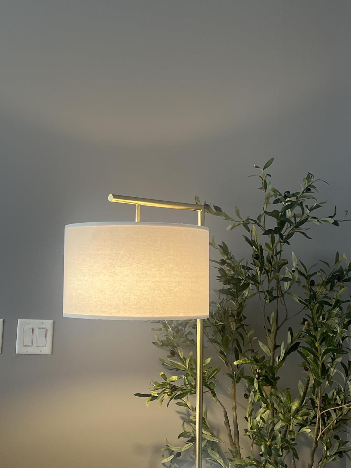 Brightech Montage Modern Floor Lamp - LED Standing Lamp with Tan Shade for Living Rooms & Offices - Bedroom Reading Light - Tall Corner Pole Lamp for Contemporary Home Decor - Black customer photo 2