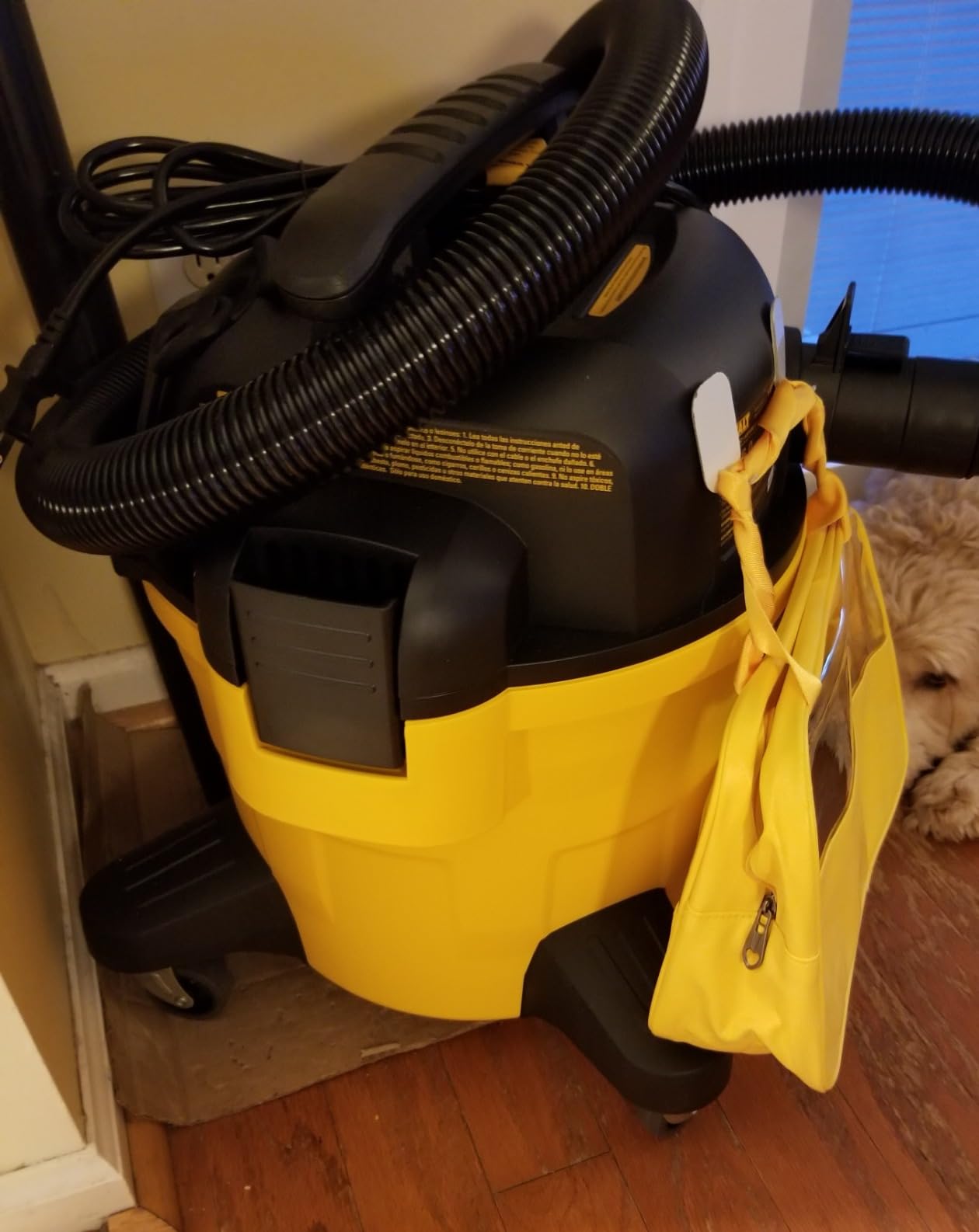 DEWALT DXV06P 4 Peak HP Shop Vacuums, 6 Gallon Poly Wet/Dry Vac, Heavy-Duty Shop Vacuum with Blower Function Yellow+Black customer photo 2