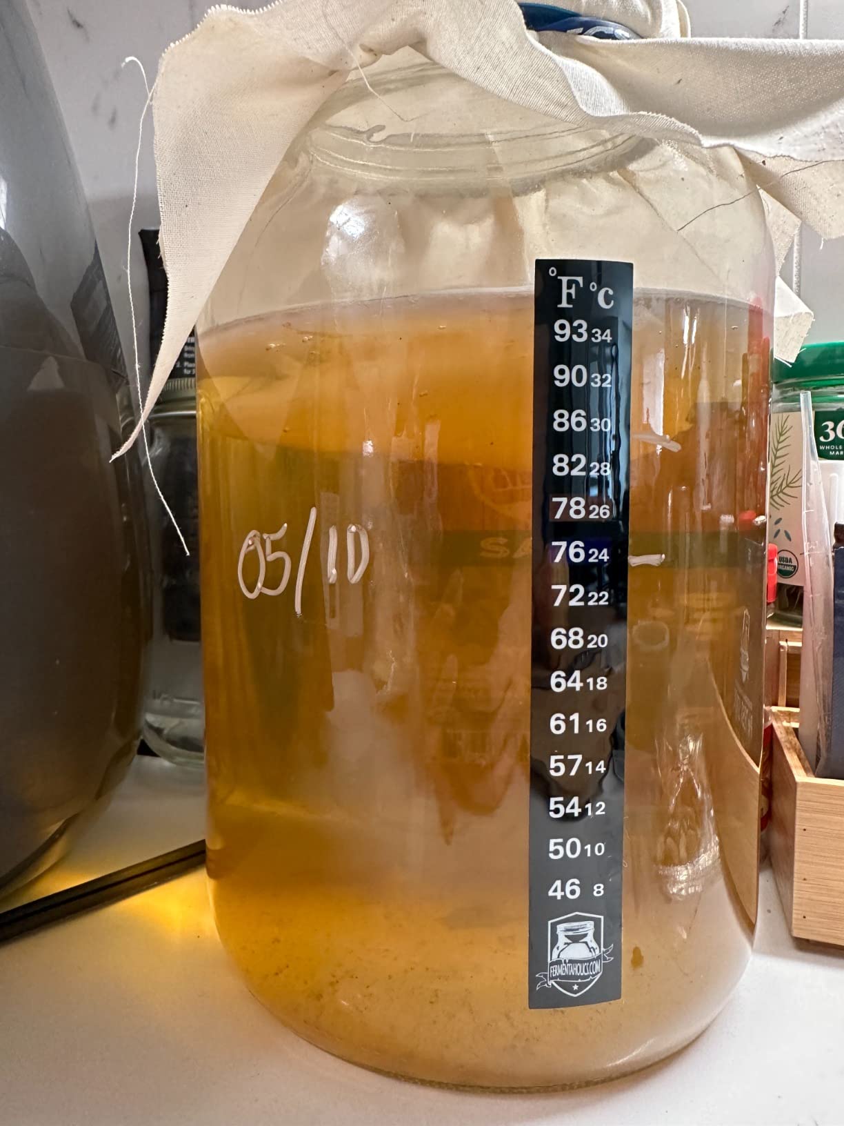 Kombucha Essentials Kit - Includes USDA Organic Kombucha SCOBY + 1-Gallon Glass Fermenting Jar with Breathable Cover + pH Strips + Rubber Band + Adhesive Thermometer - Brew kombucha at Home customer photo 1