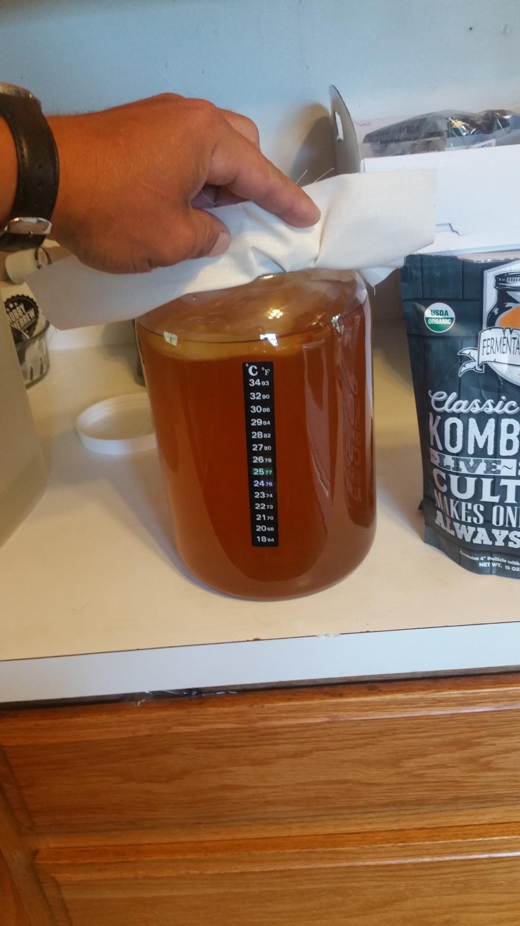 Kombucha Essentials Kit - Includes USDA Organic Kombucha SCOBY + 1-Gallon Glass Fermenting Jar with Breathable Cover + pH Strips + Rubber Band + Adhesive Thermometer - Brew kombucha at Home customer photo 2