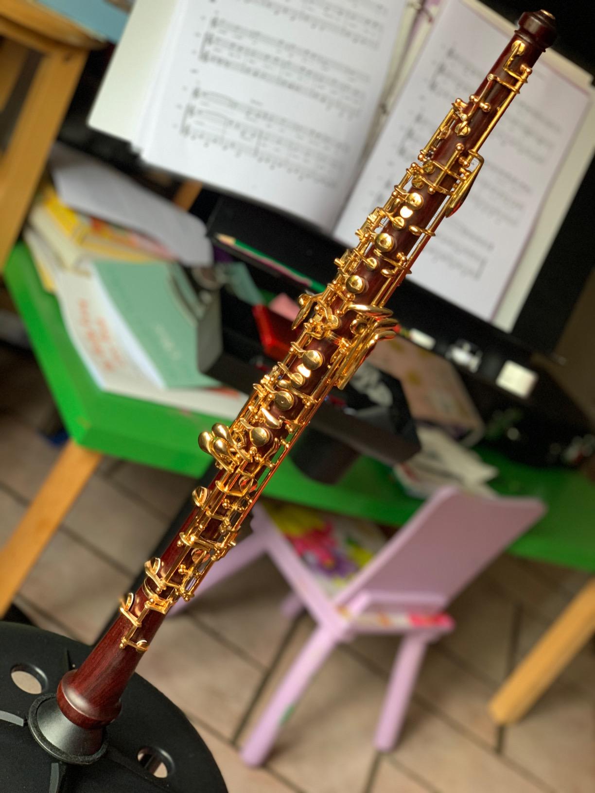 Yinfente Professional Oboe Gold Plated Rosewood C Key Left F Resonance Semi-Automatic Woodwind Instrument With Oboe Accessories customer photo 1