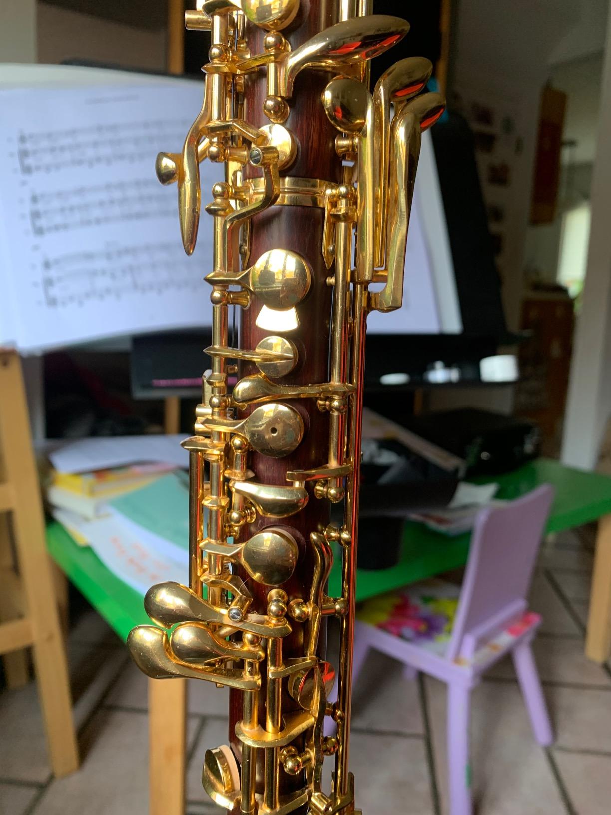 Yinfente Professional Oboe Gold Plated Rosewood C Key Left F Resonance Semi-Automatic Woodwind Instrument With Oboe Accessories customer photo 2