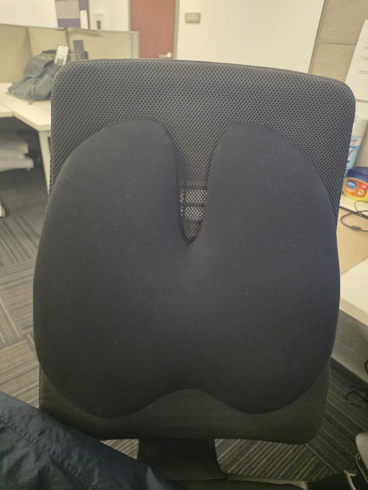 C CUSHION LAB Extra Dense Lumbar Pillow customer photo 1