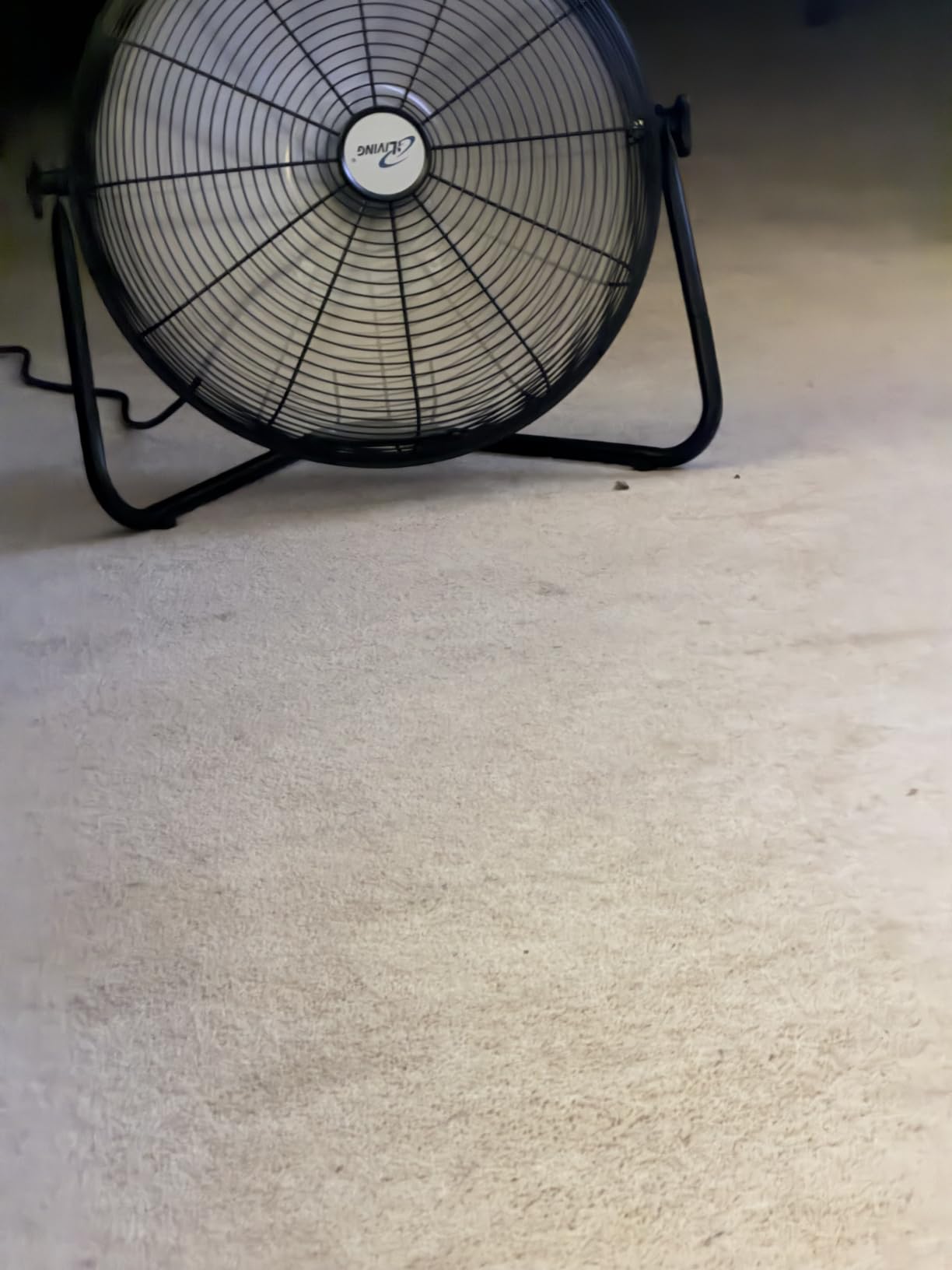 iLIVING 20 Inch Heavy Duty Floor & Wall Mount Fan - 5750 CFM High Velocity, 120-Watt, 3-Speed, Industrial Cooling for Garage, Workshop, Office, Home - UL Listed, Black customer photo 1